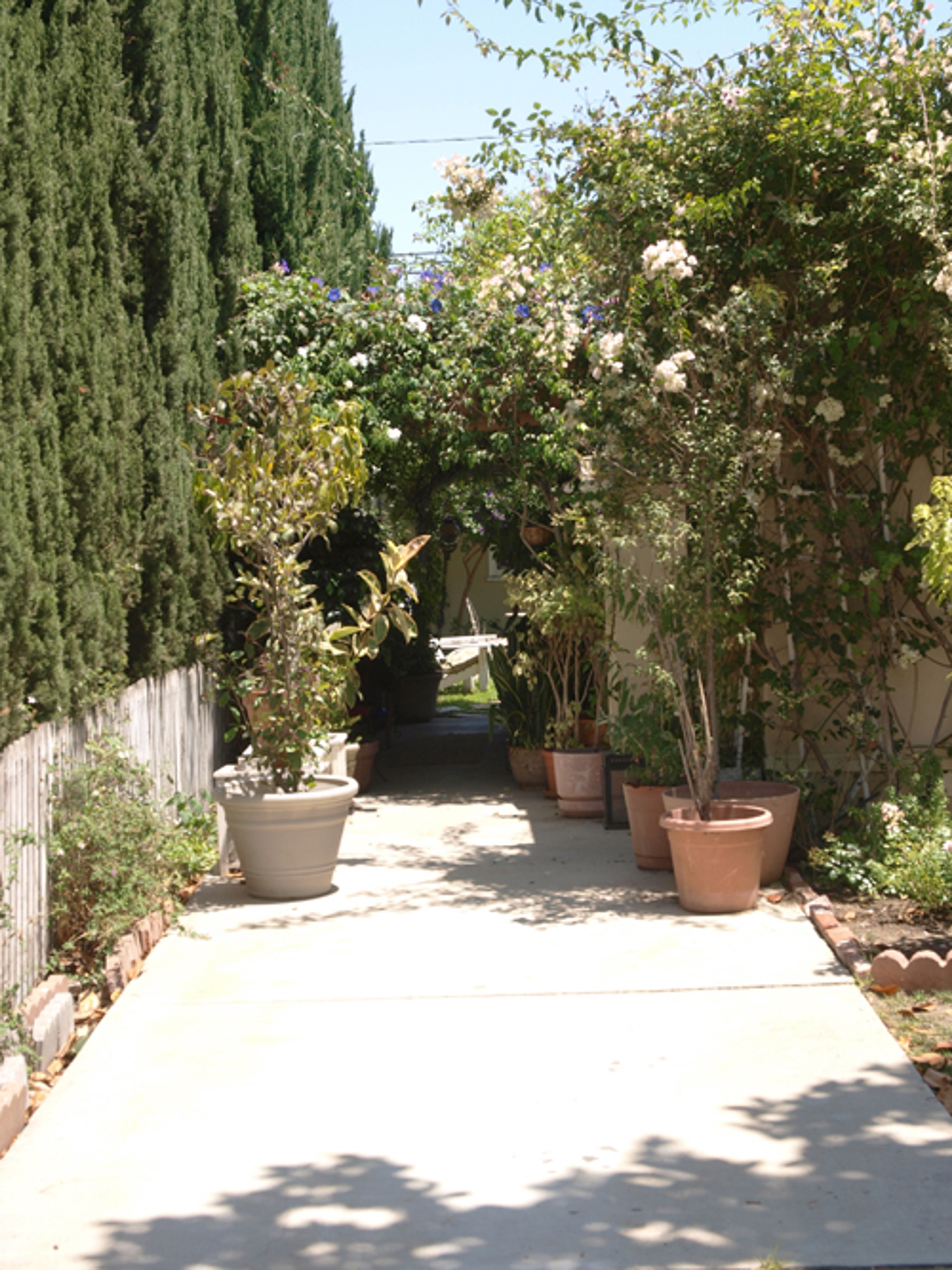 Studio Entry