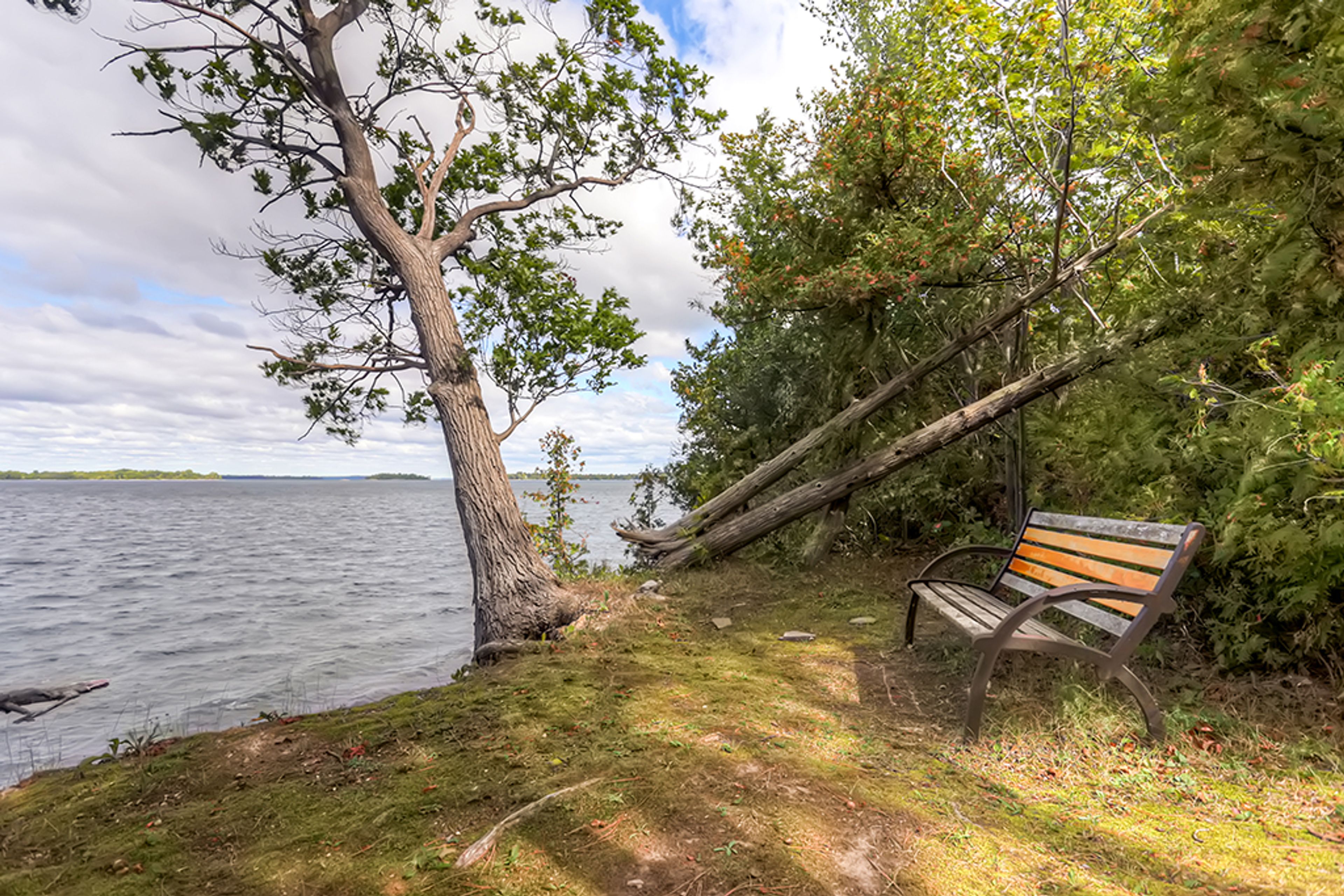 Take a seat on this bench and look out over the water.