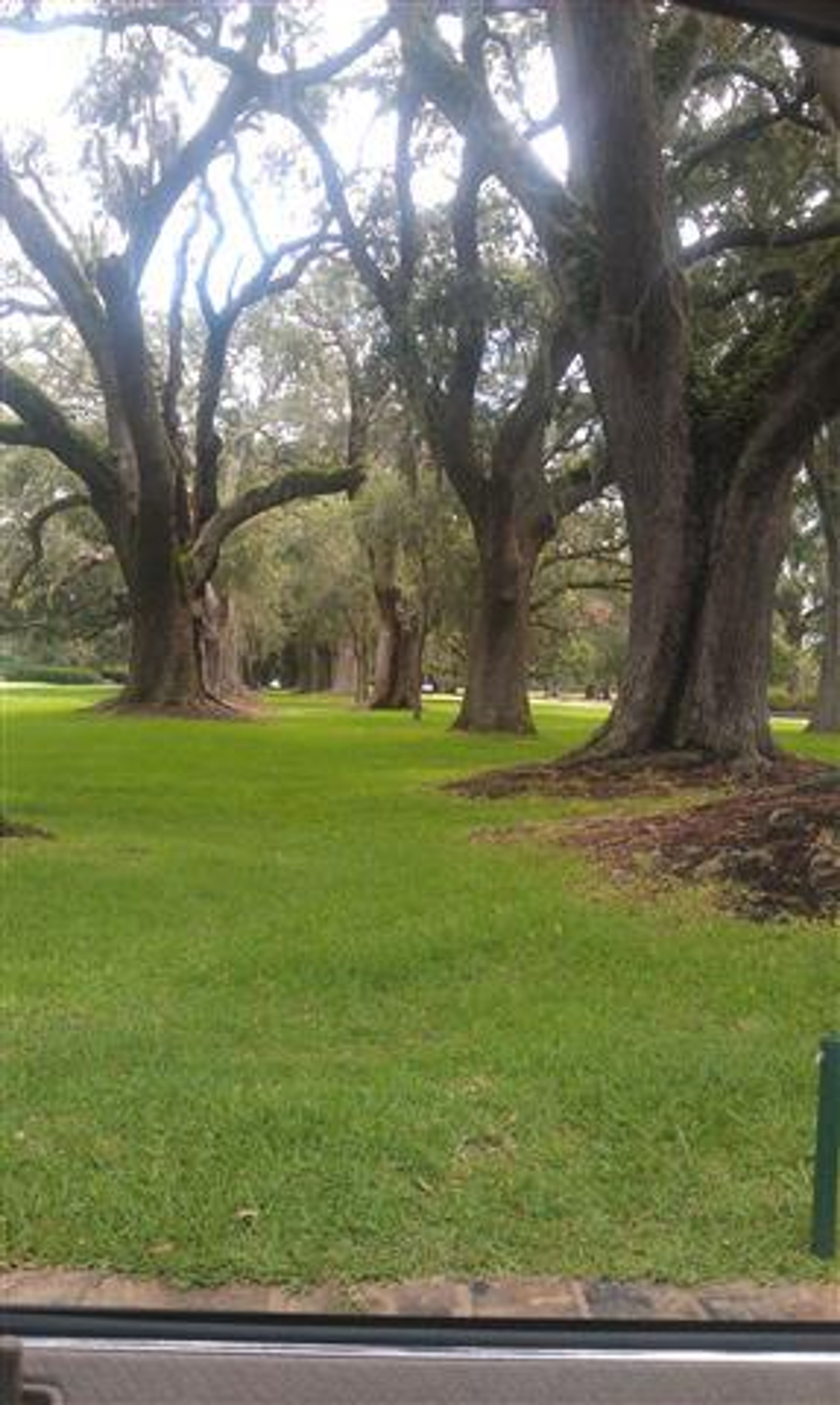 Avenue of the Oaks, Retreat Plantation