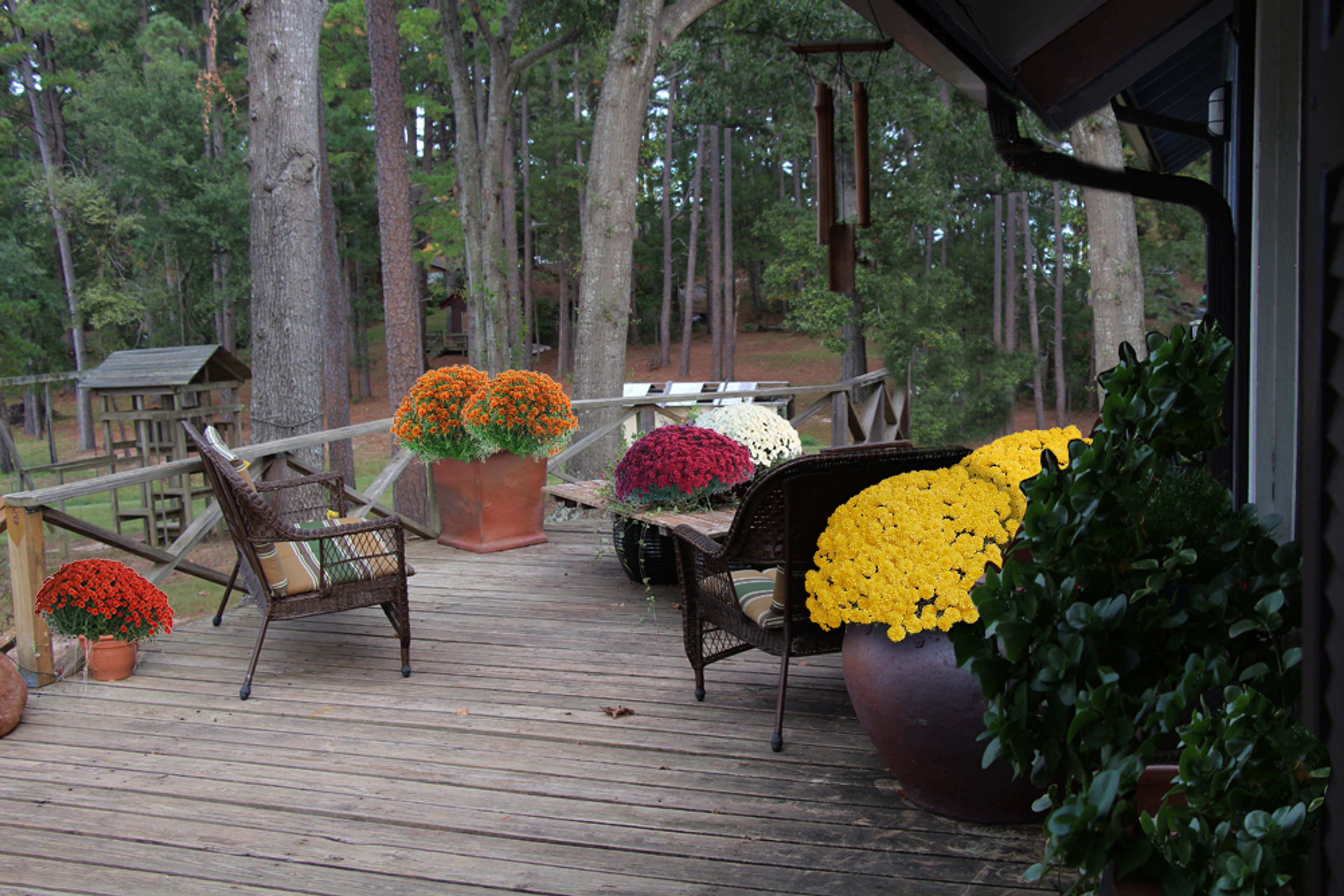 Deck