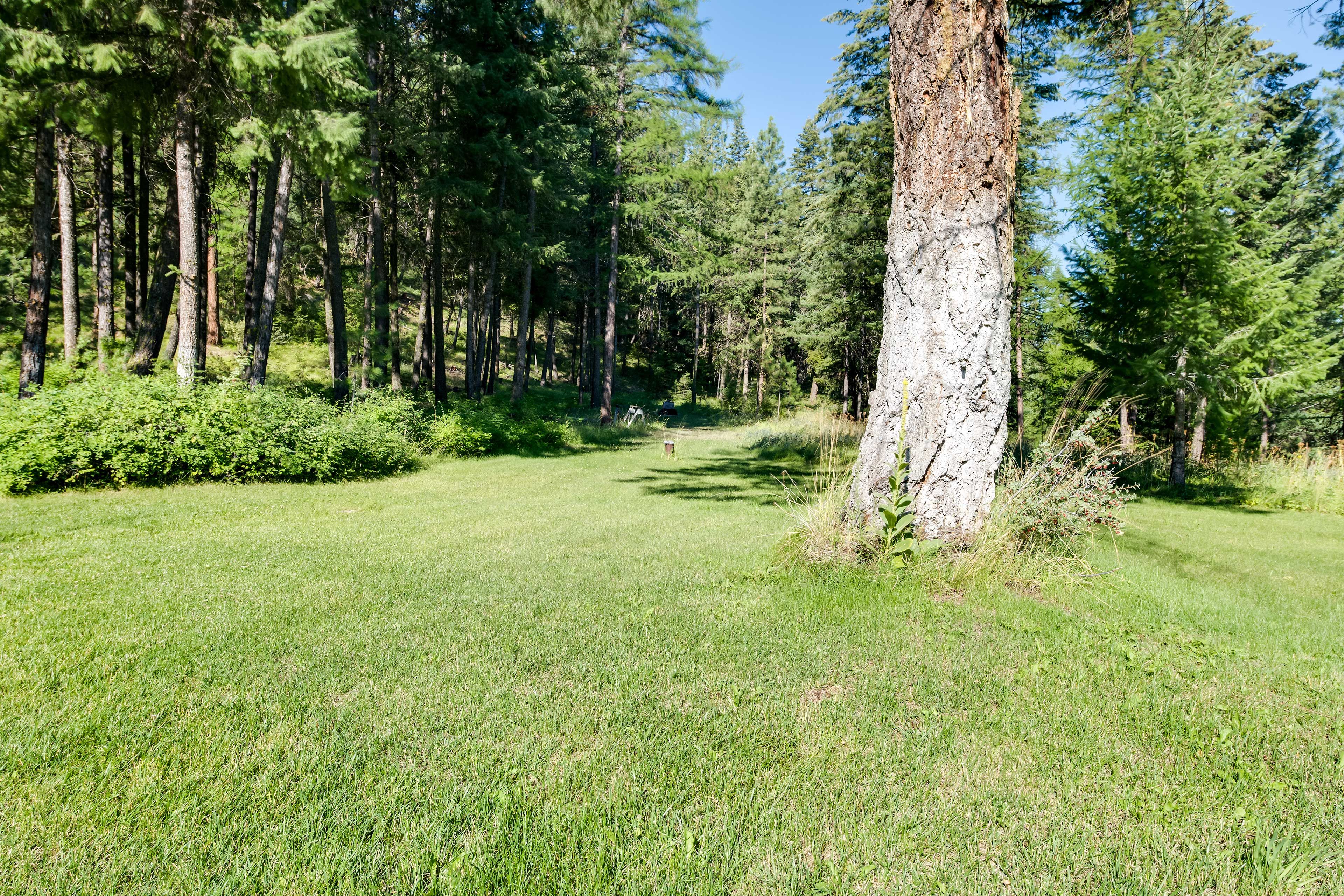 Private Yard | Nature Trails
