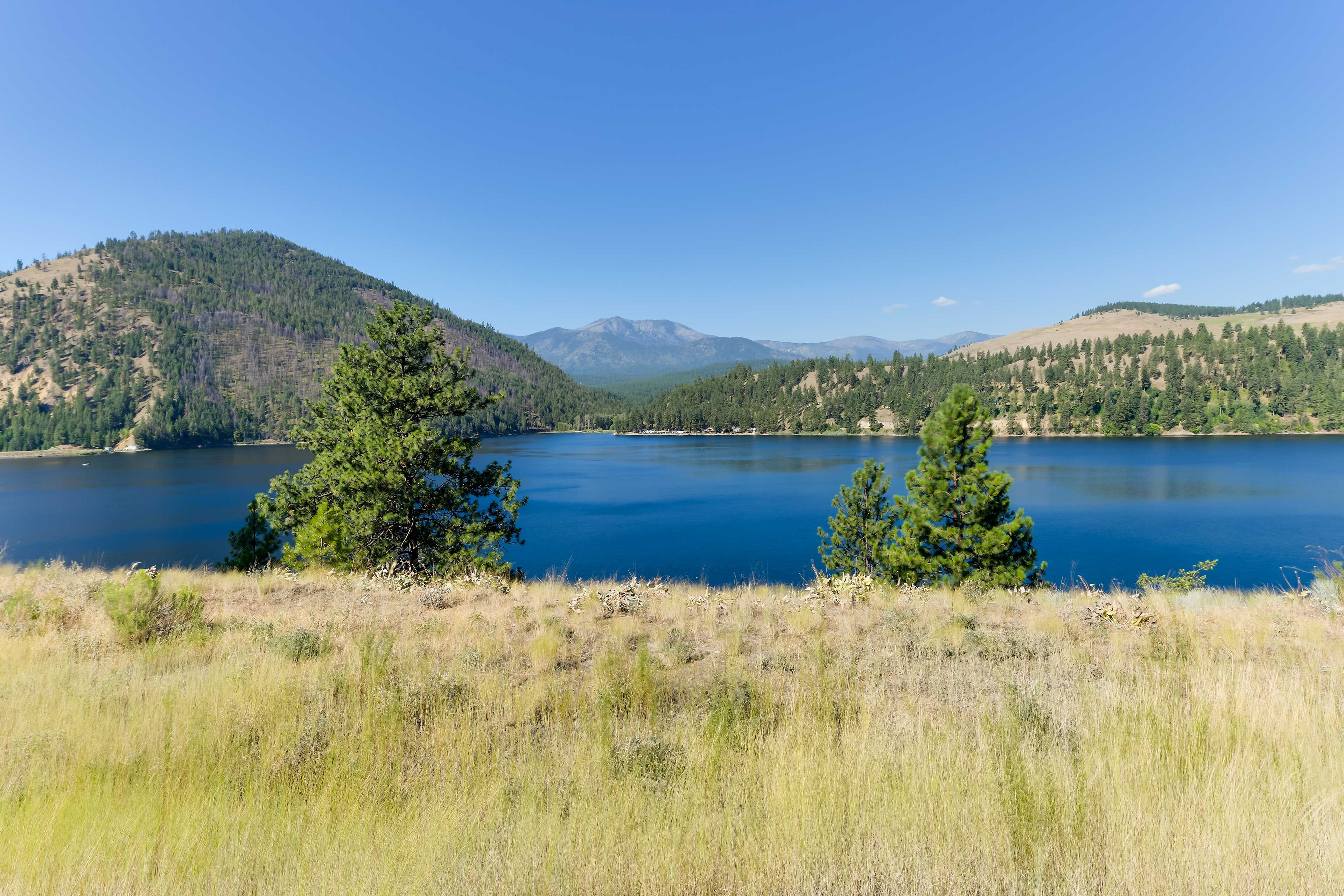 Private Yard | 42 Acres of Land