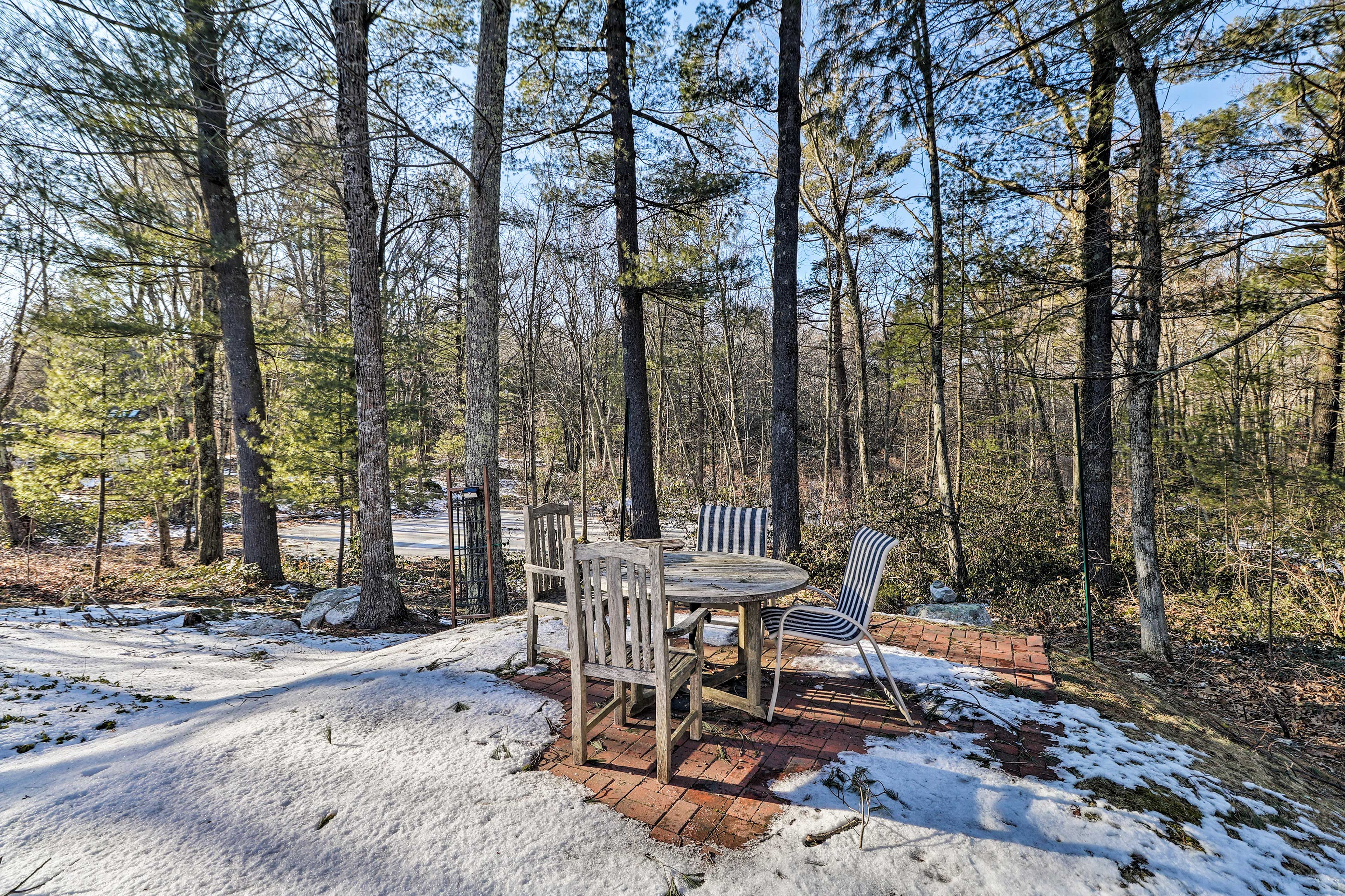 Backyard | Fire Pit | Grill