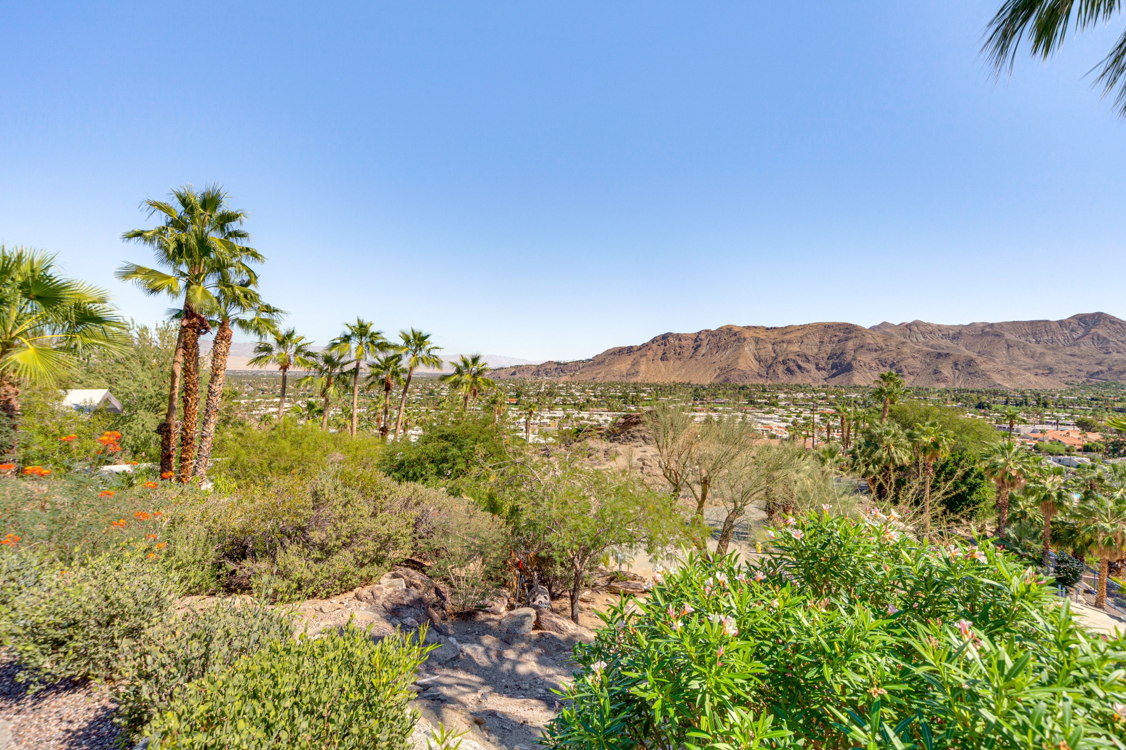 Private Yard | New Desert Landscaping