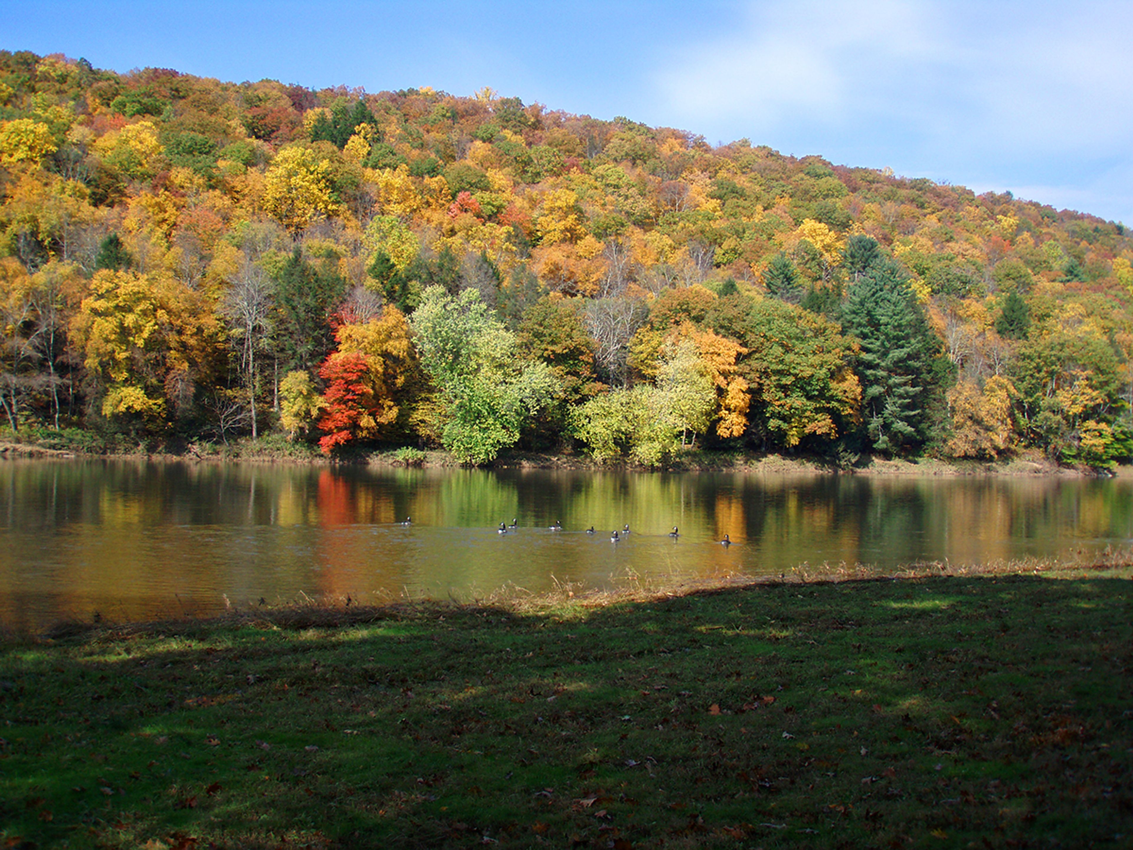 Private Yard | Direct Access to Delaware River