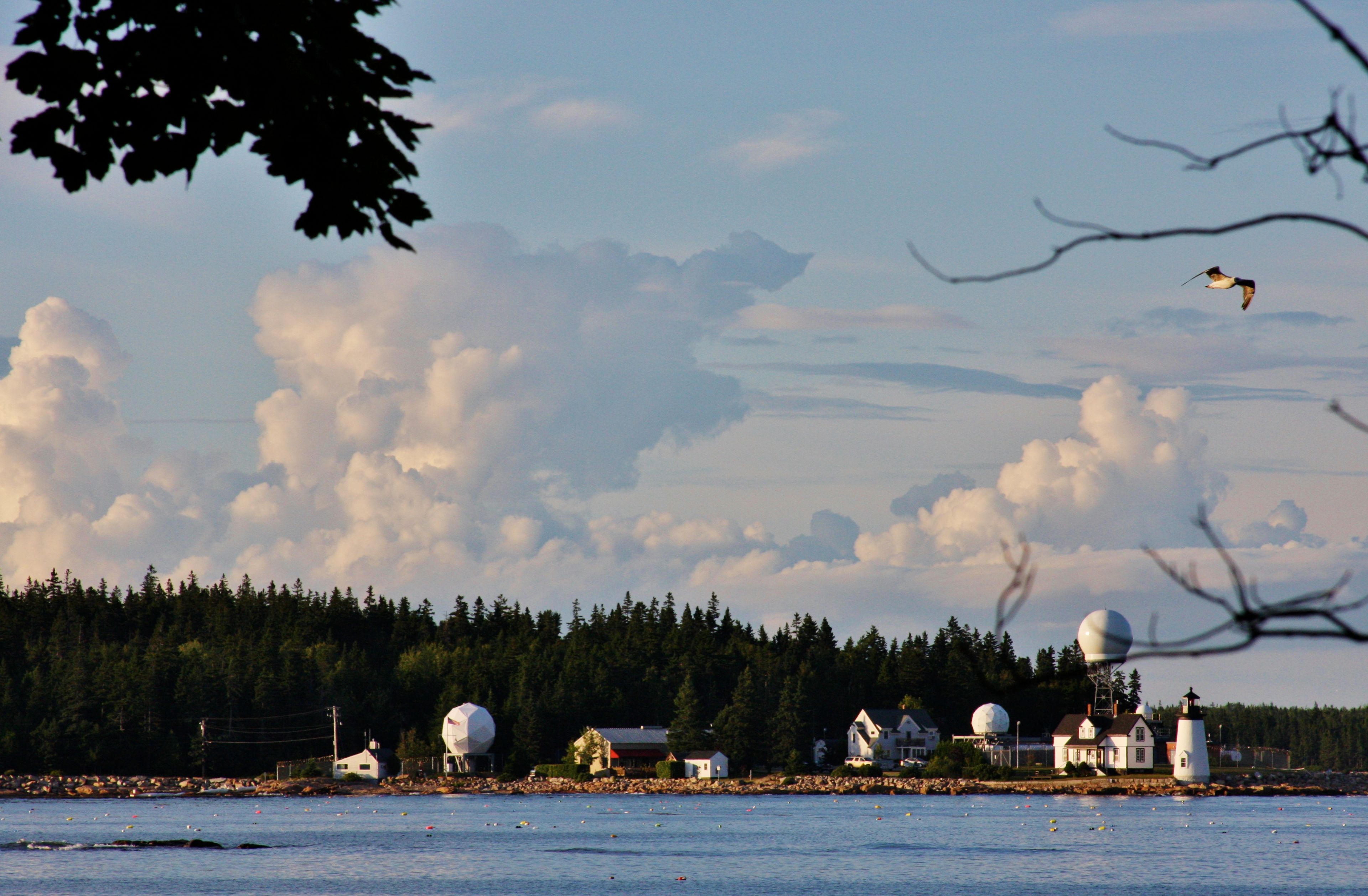 View From Yard