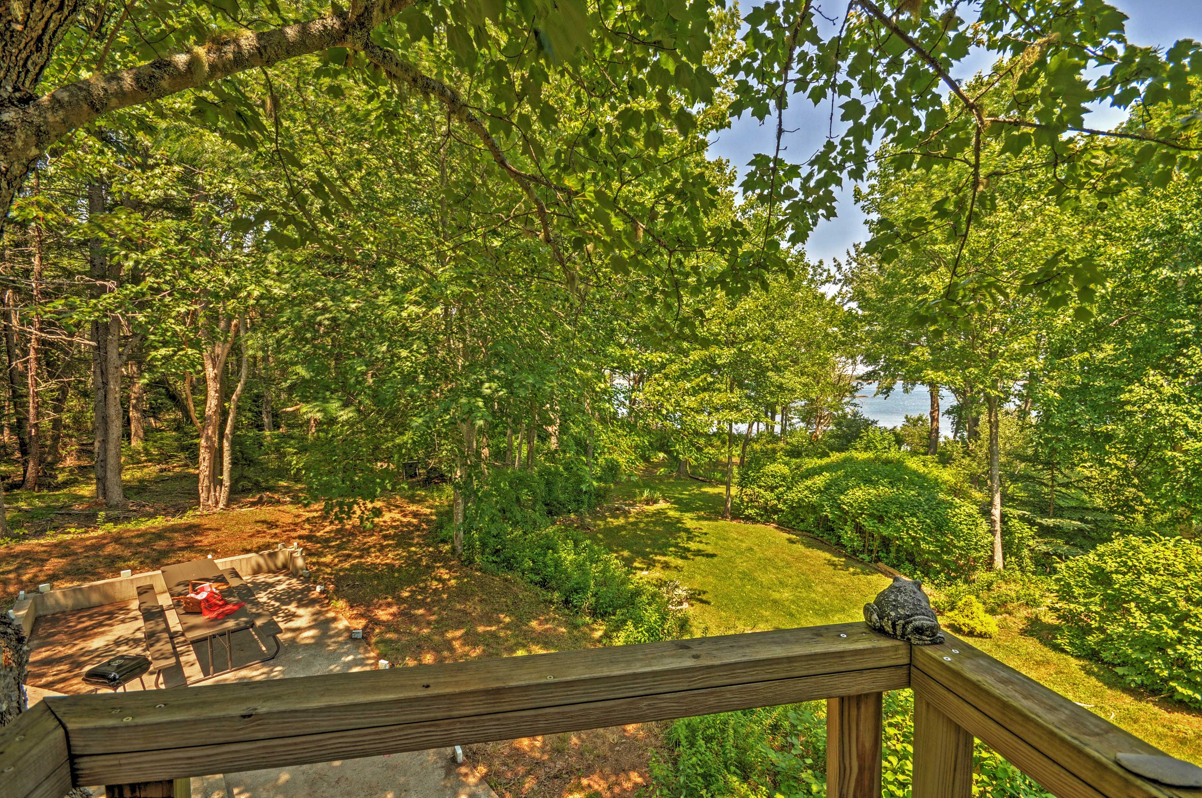 View of Private Yard