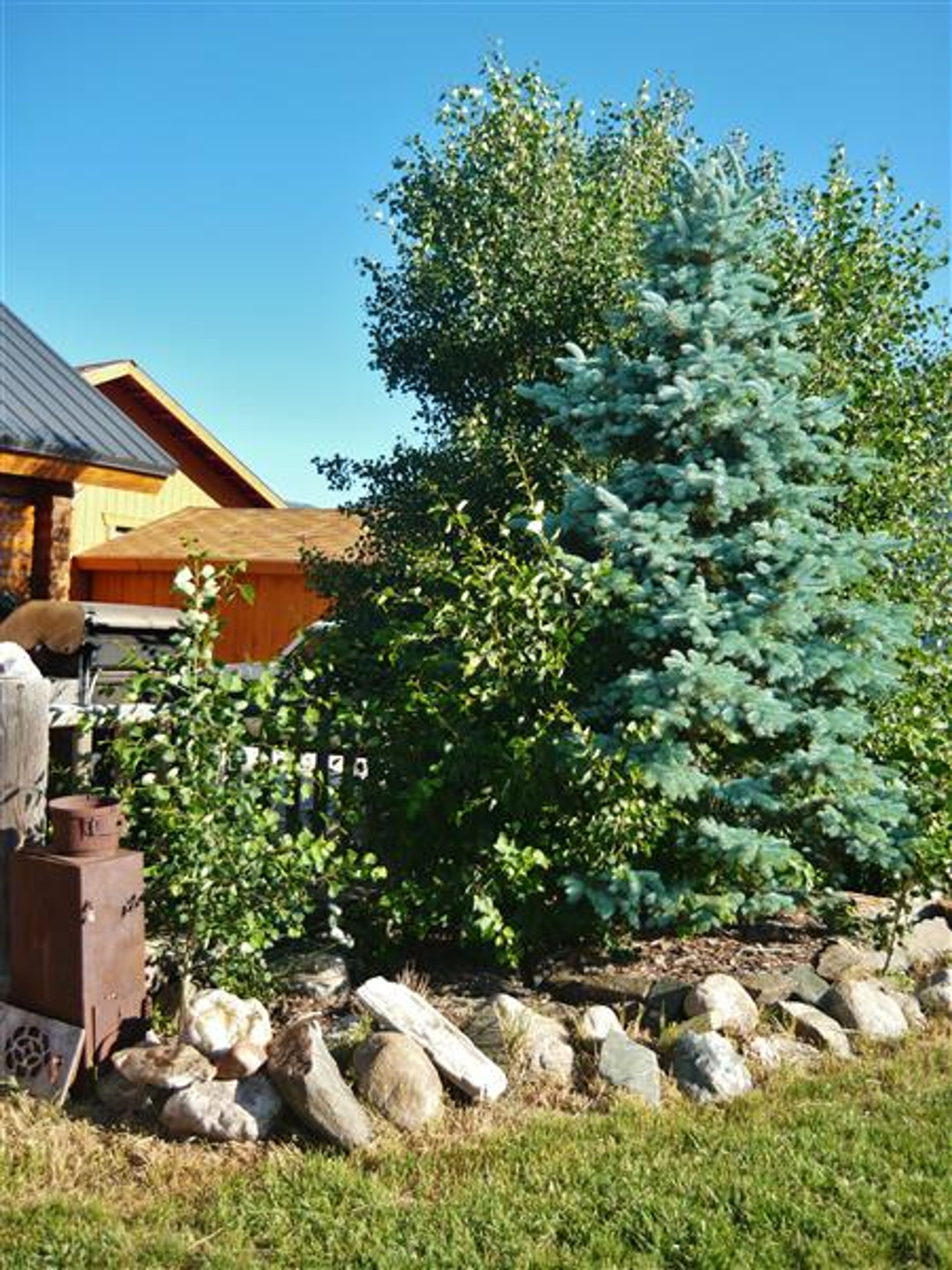 Private Yard