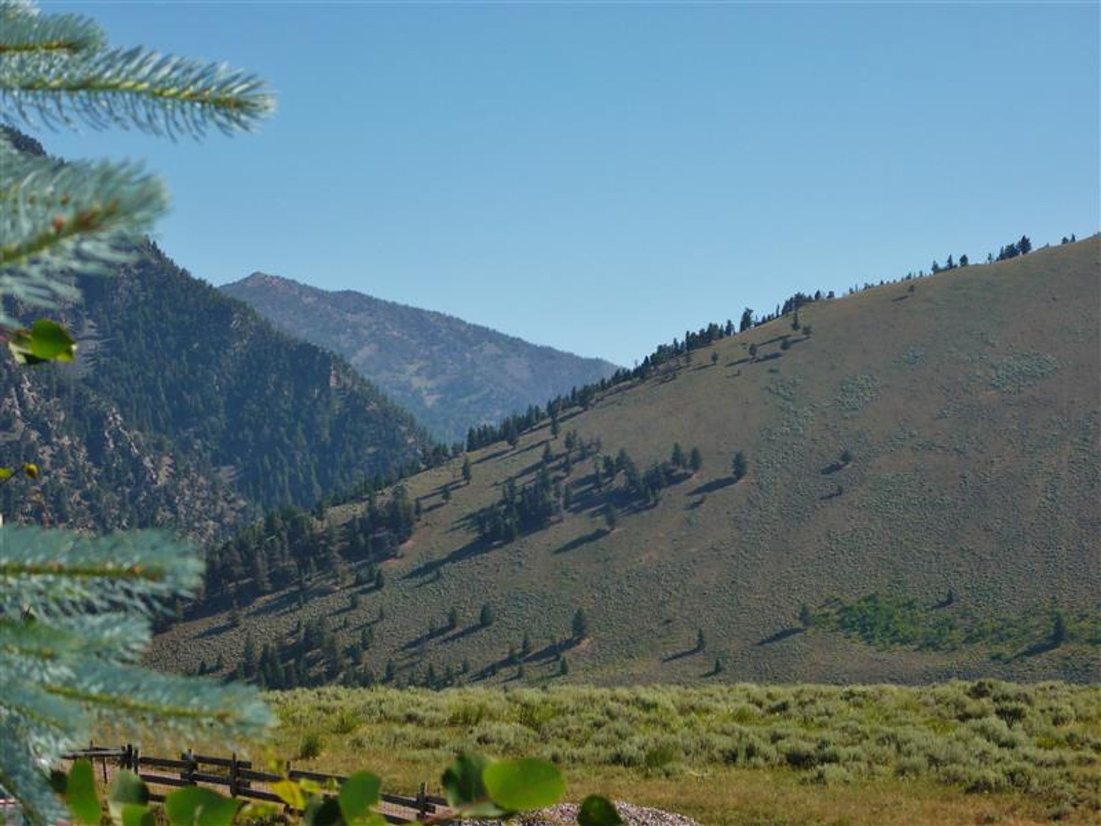 Local Views