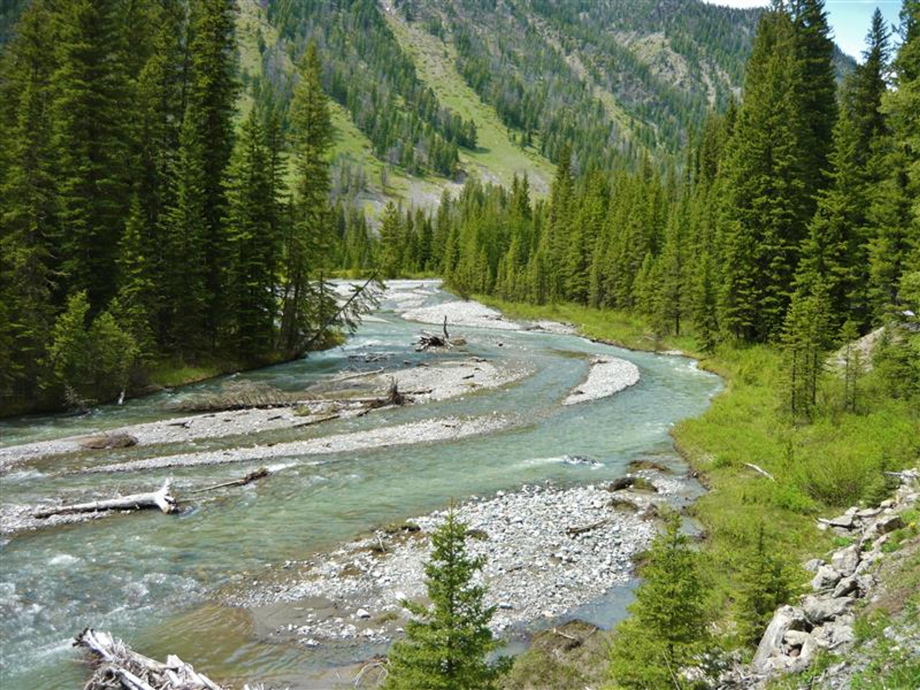 Local Views | Nearby Beaver Creek!