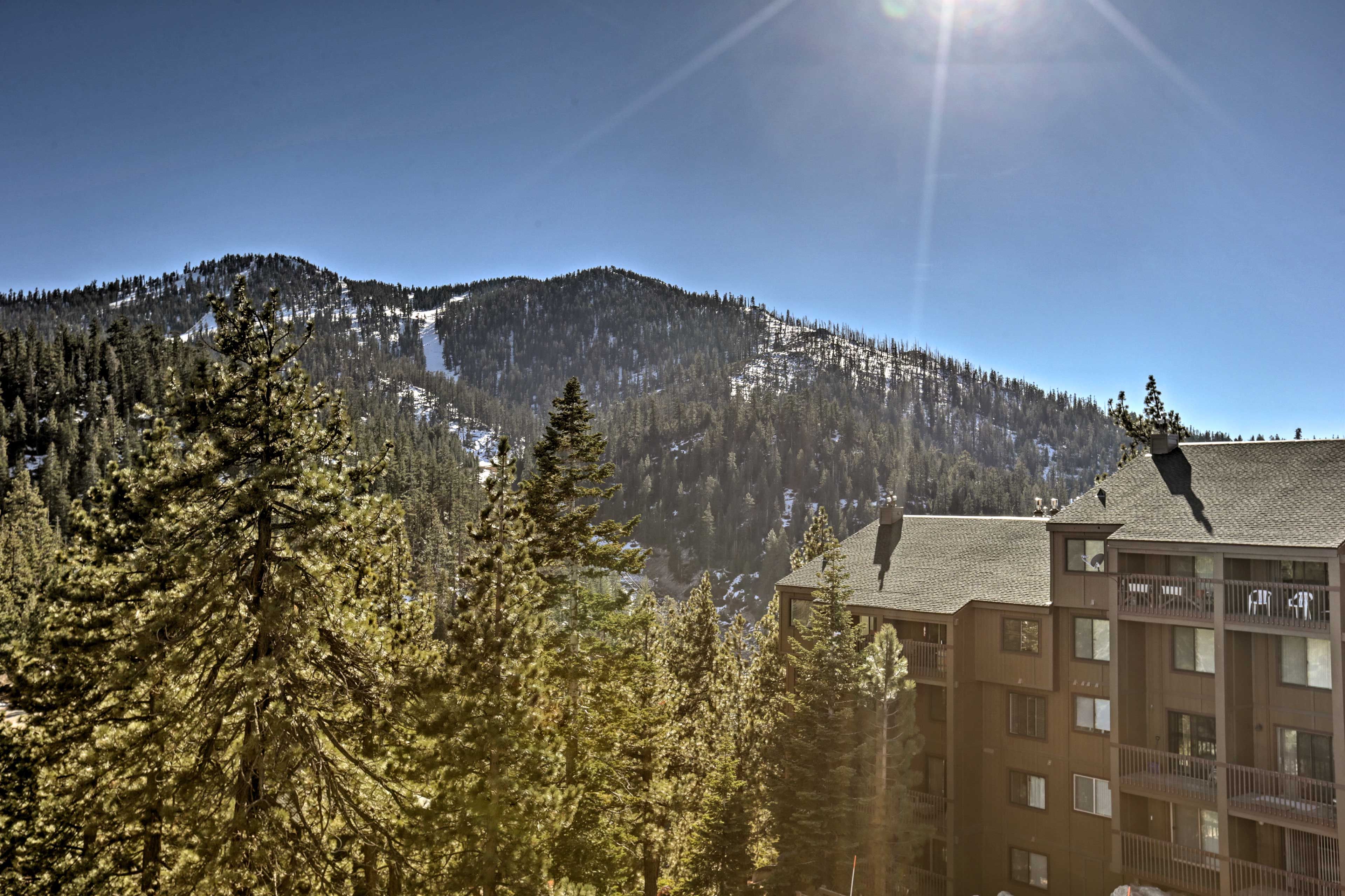 Local Views