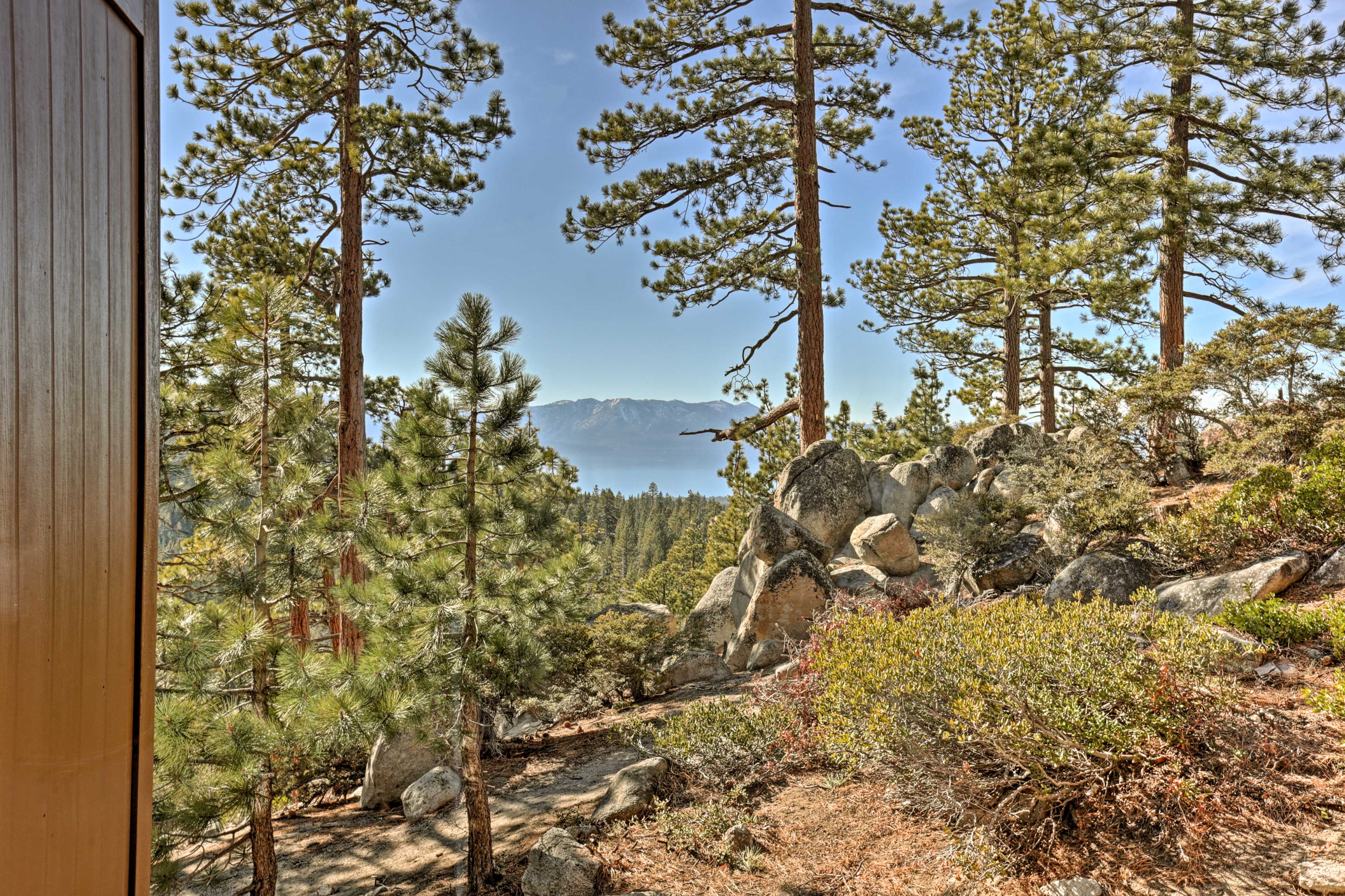 Local Views