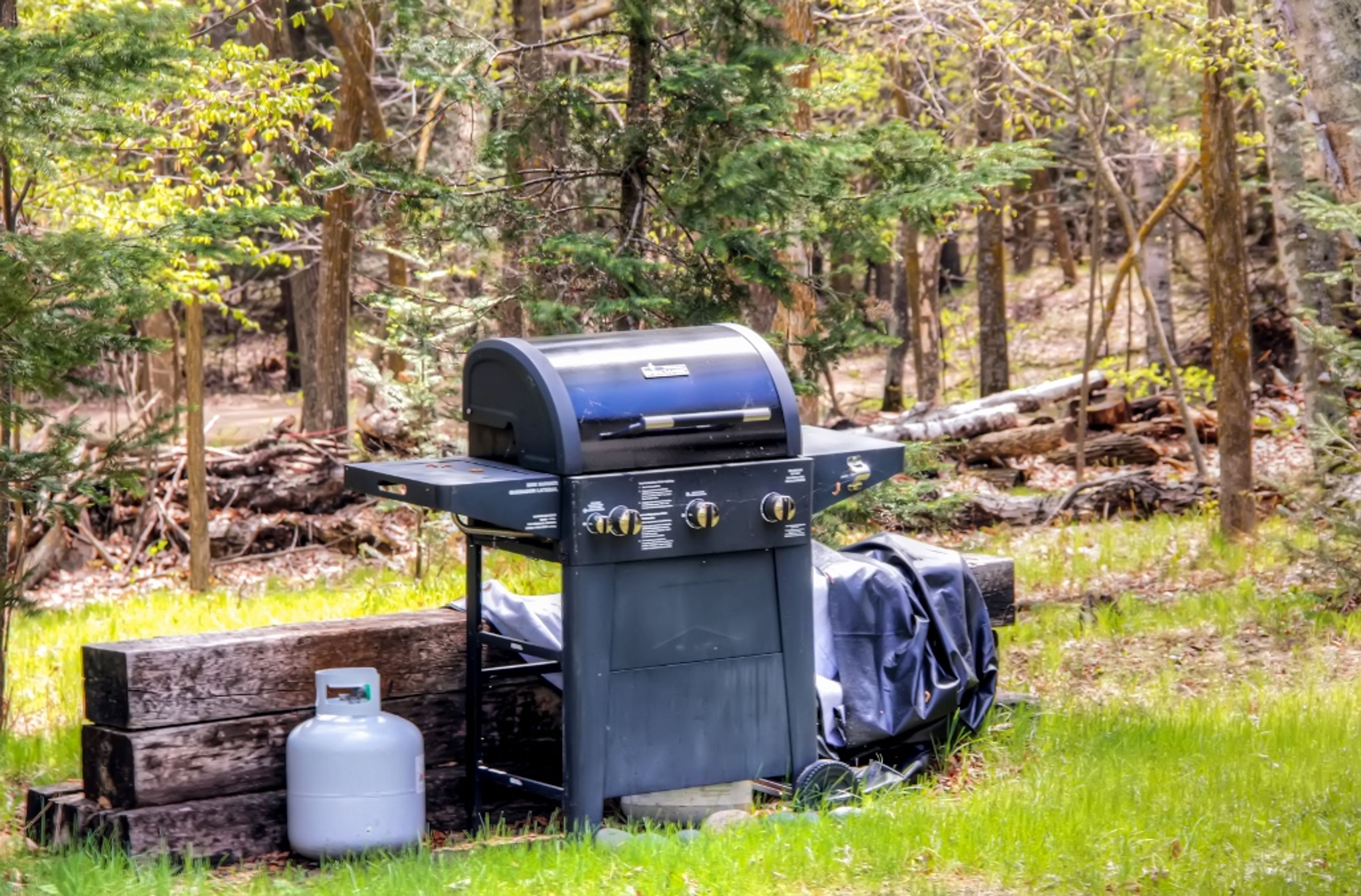 Side Yard | Charcoal Grill