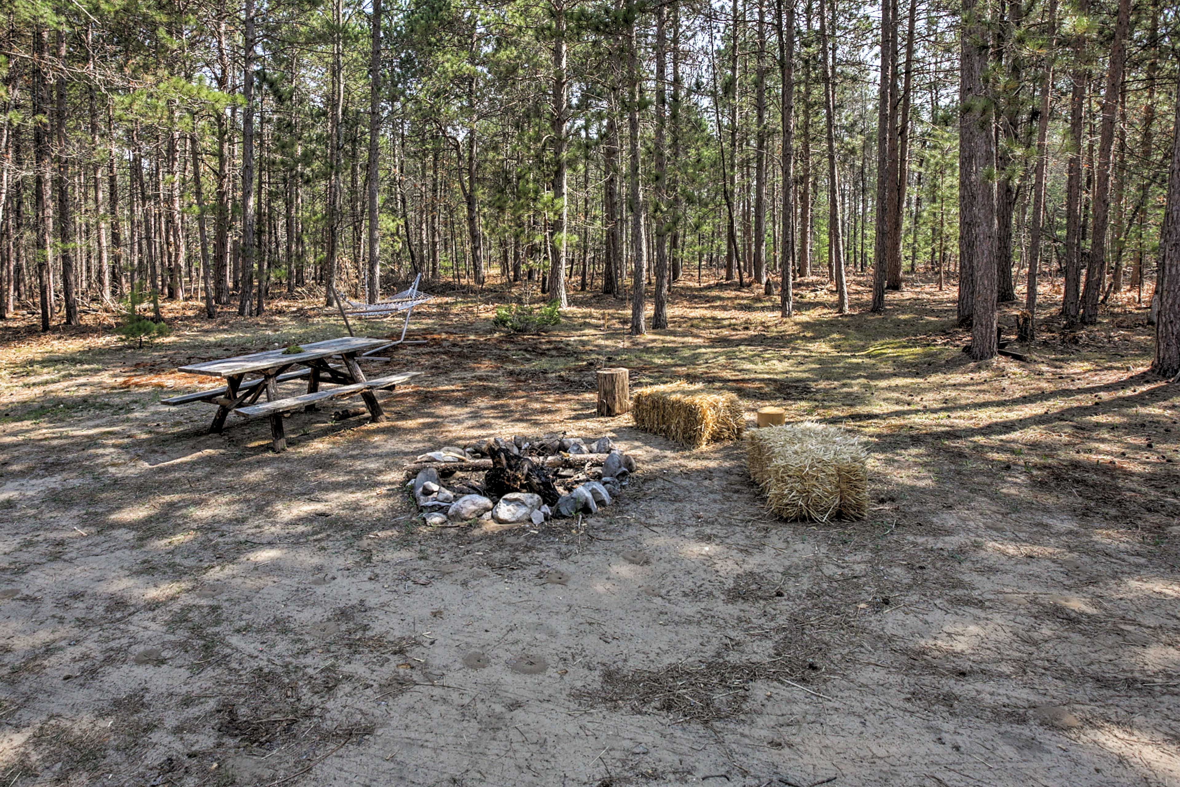 Yard | Fire Pit | Picnic Table | Hammock