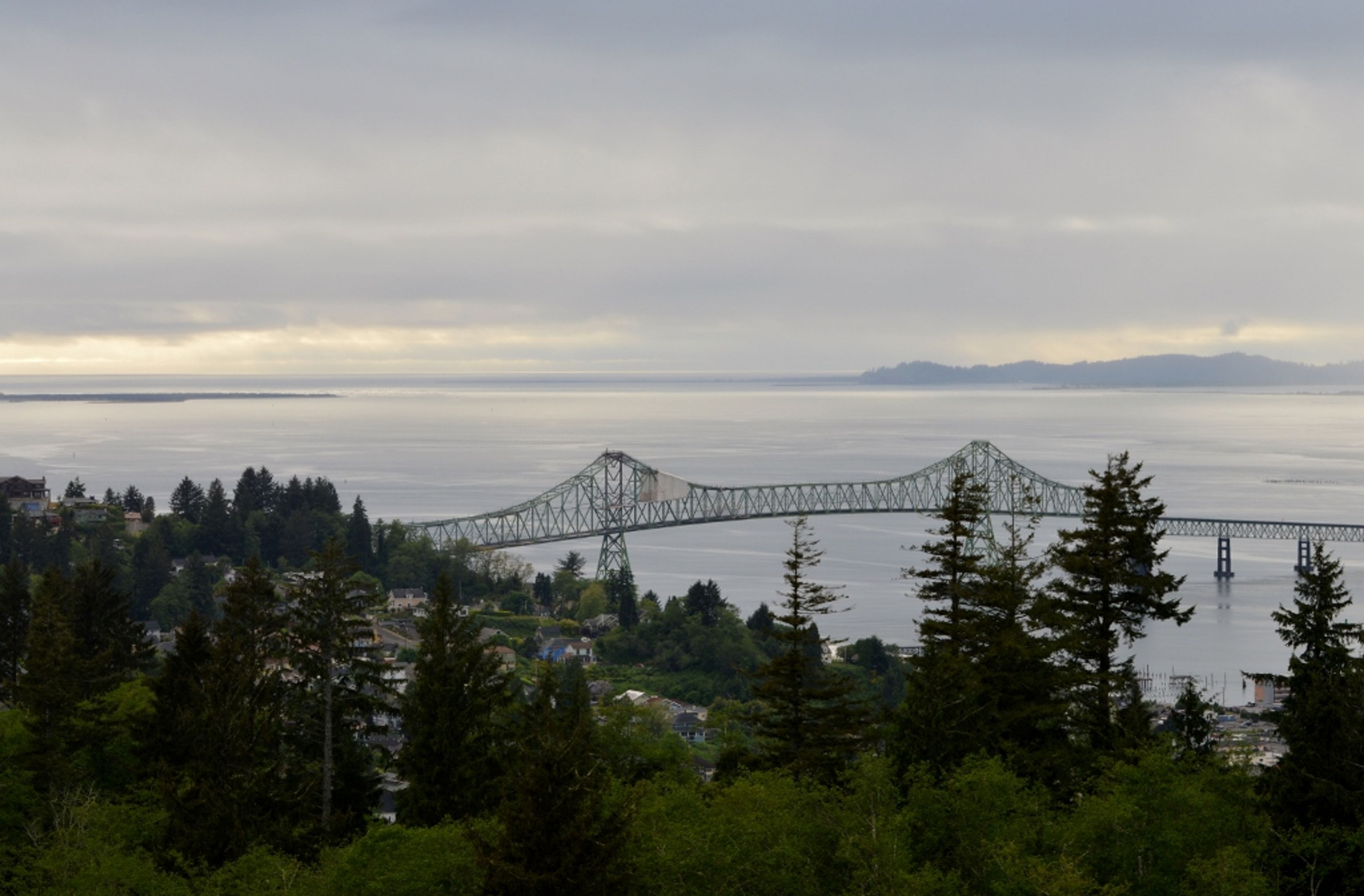 Local Views