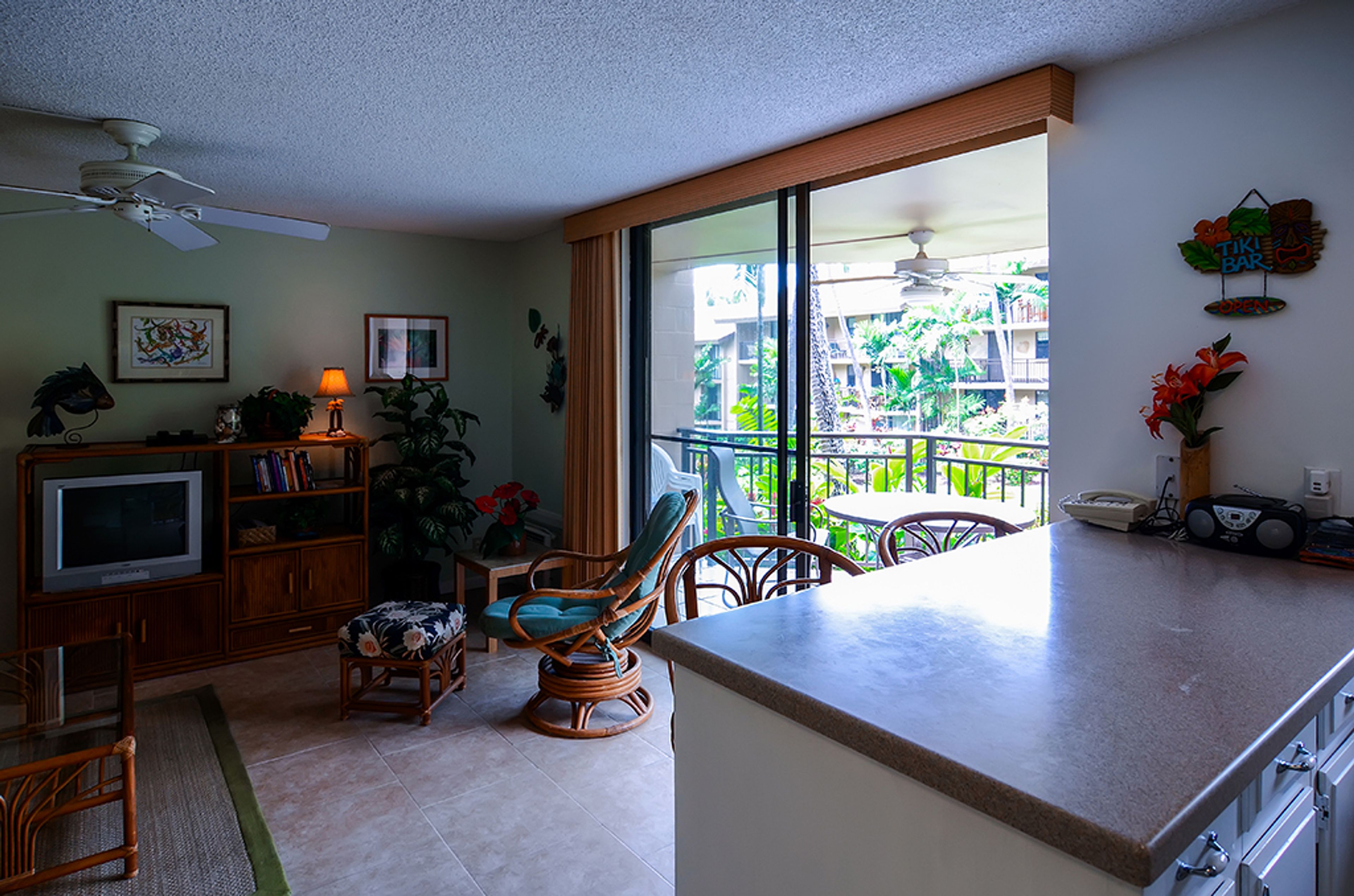 Living Room/Kitchen