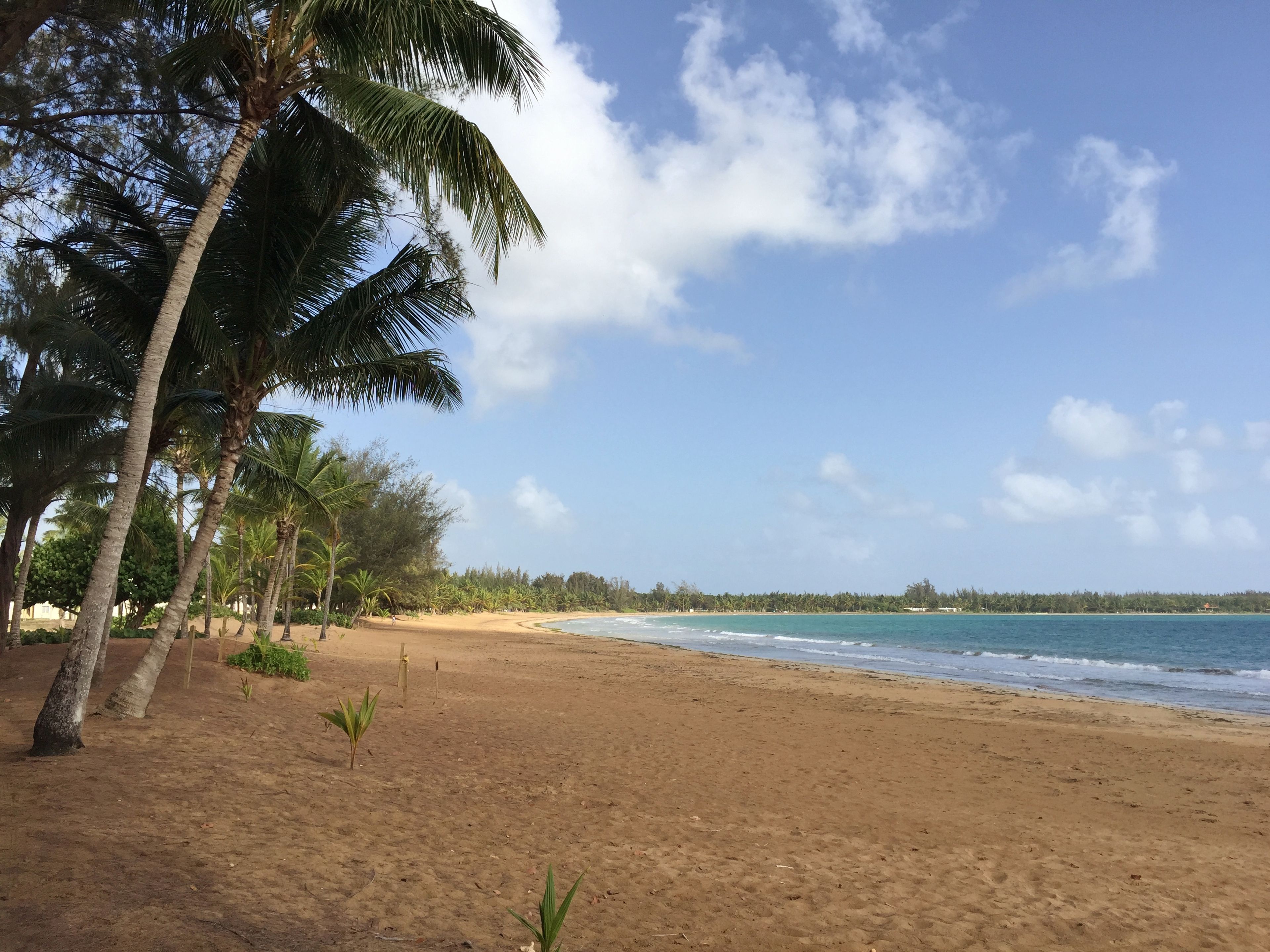 Private Beach