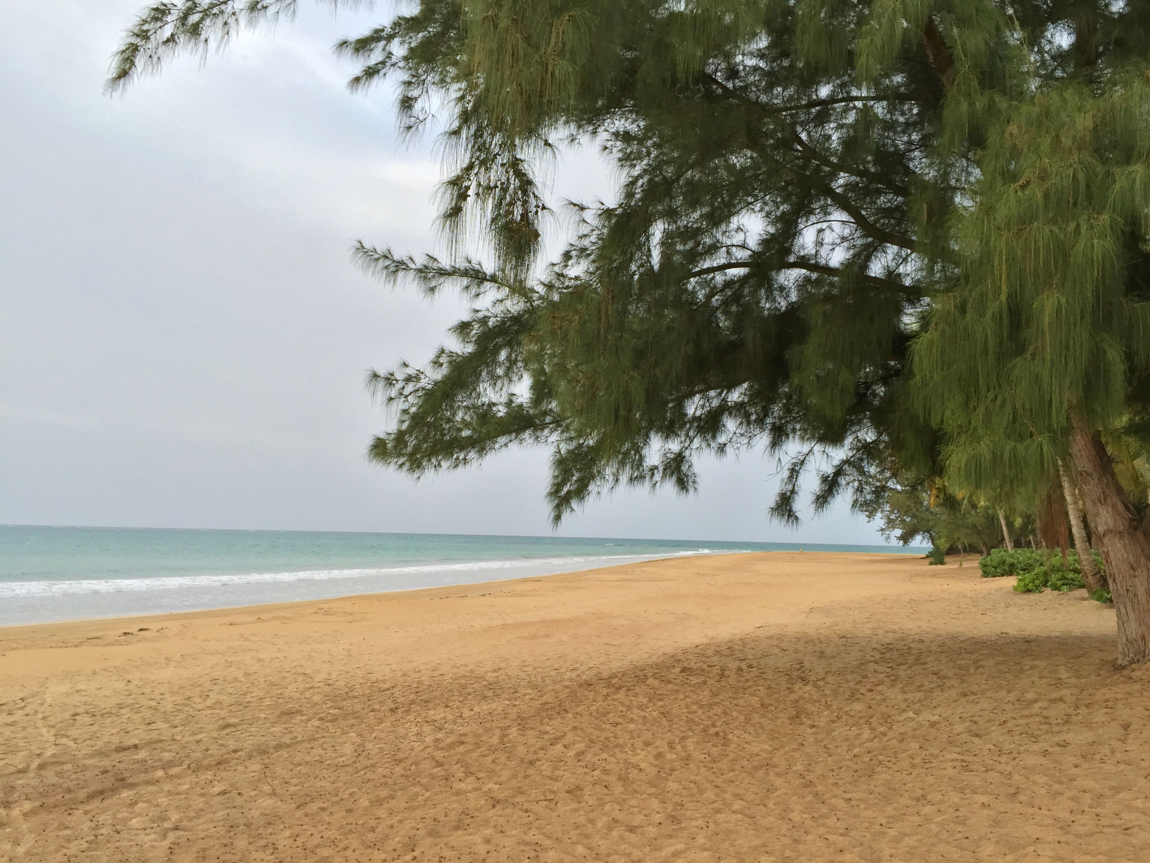Private Beach | 24/7 On-Site Security