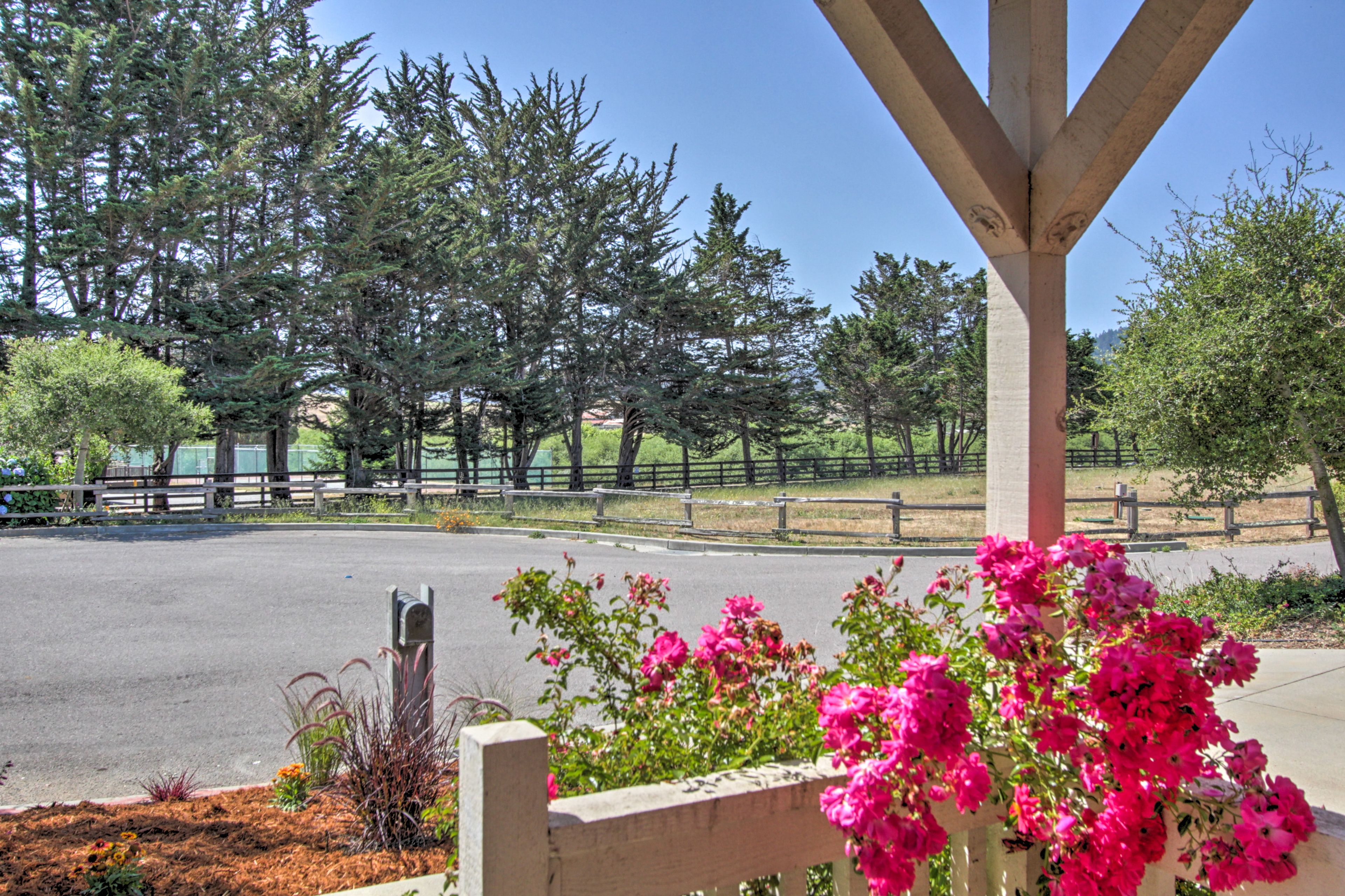 View from Front Porch | Wildlife Watching