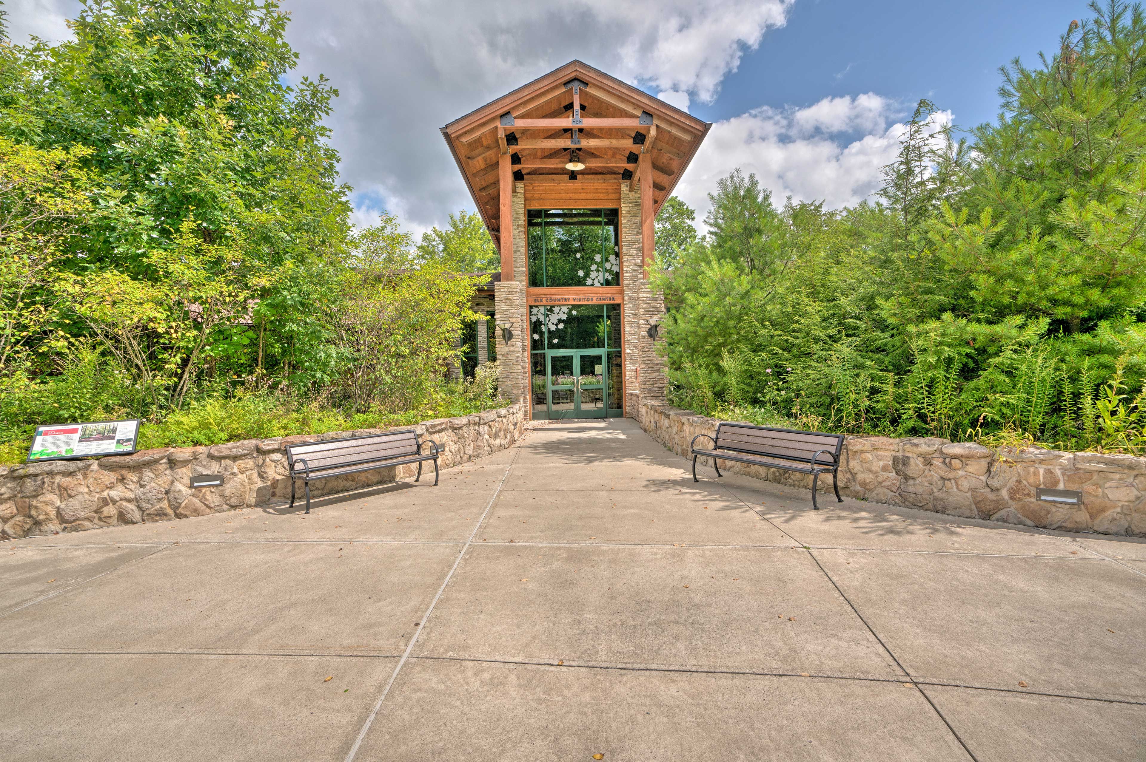 Image 25
