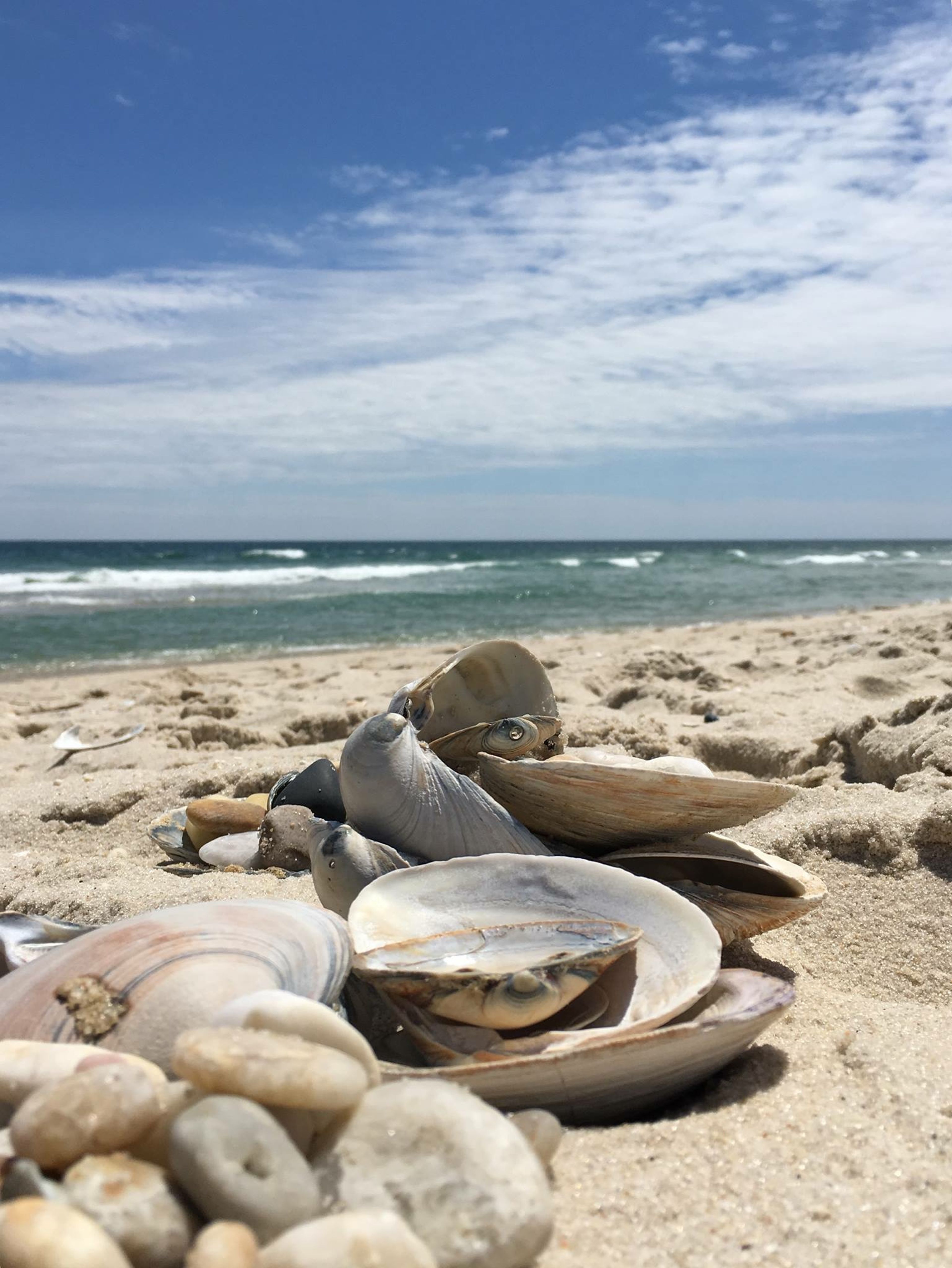 Nearby Beach