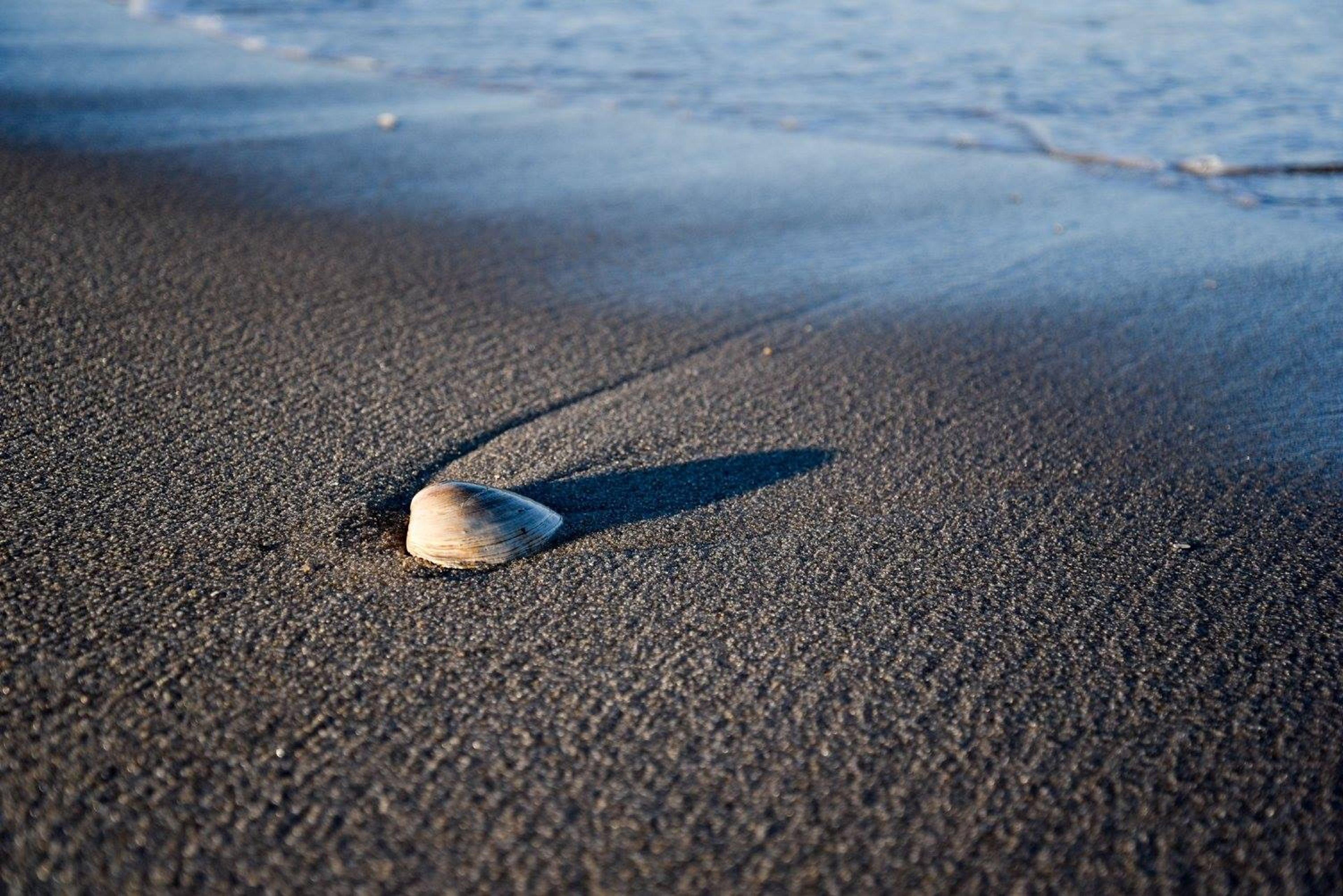 Nearby Beach