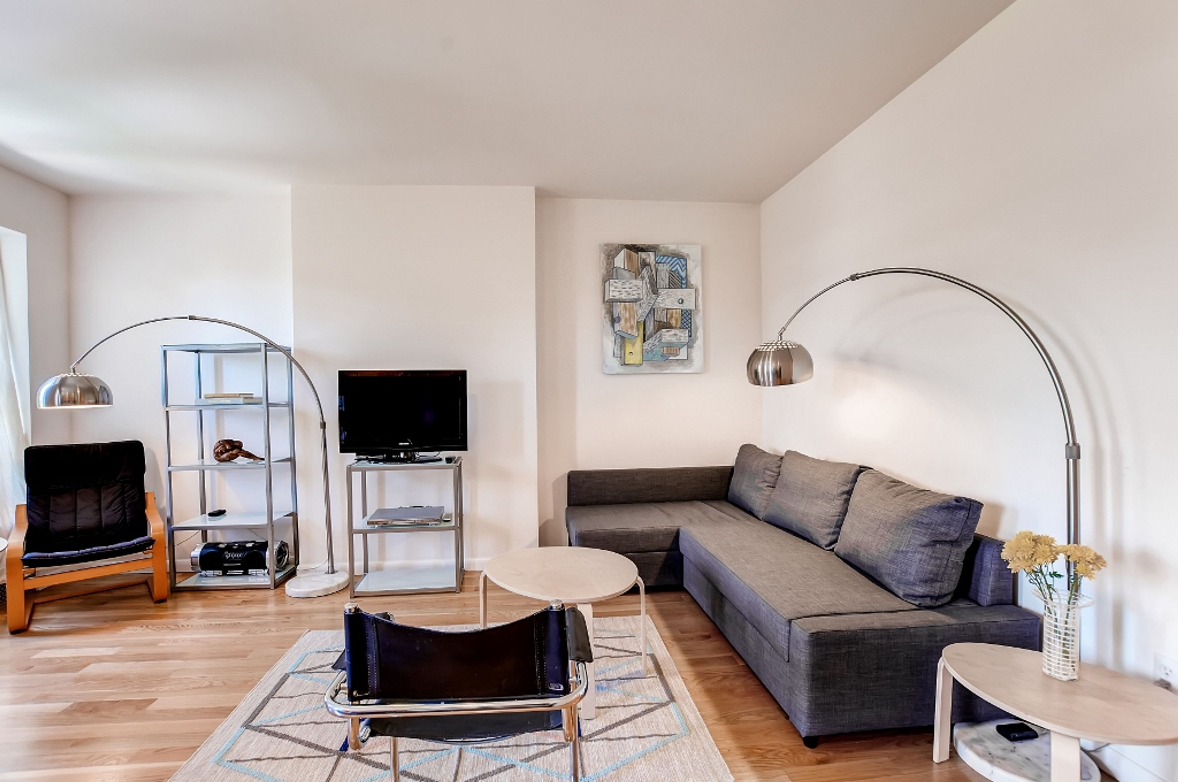 Living Room | Sleeper Sofa