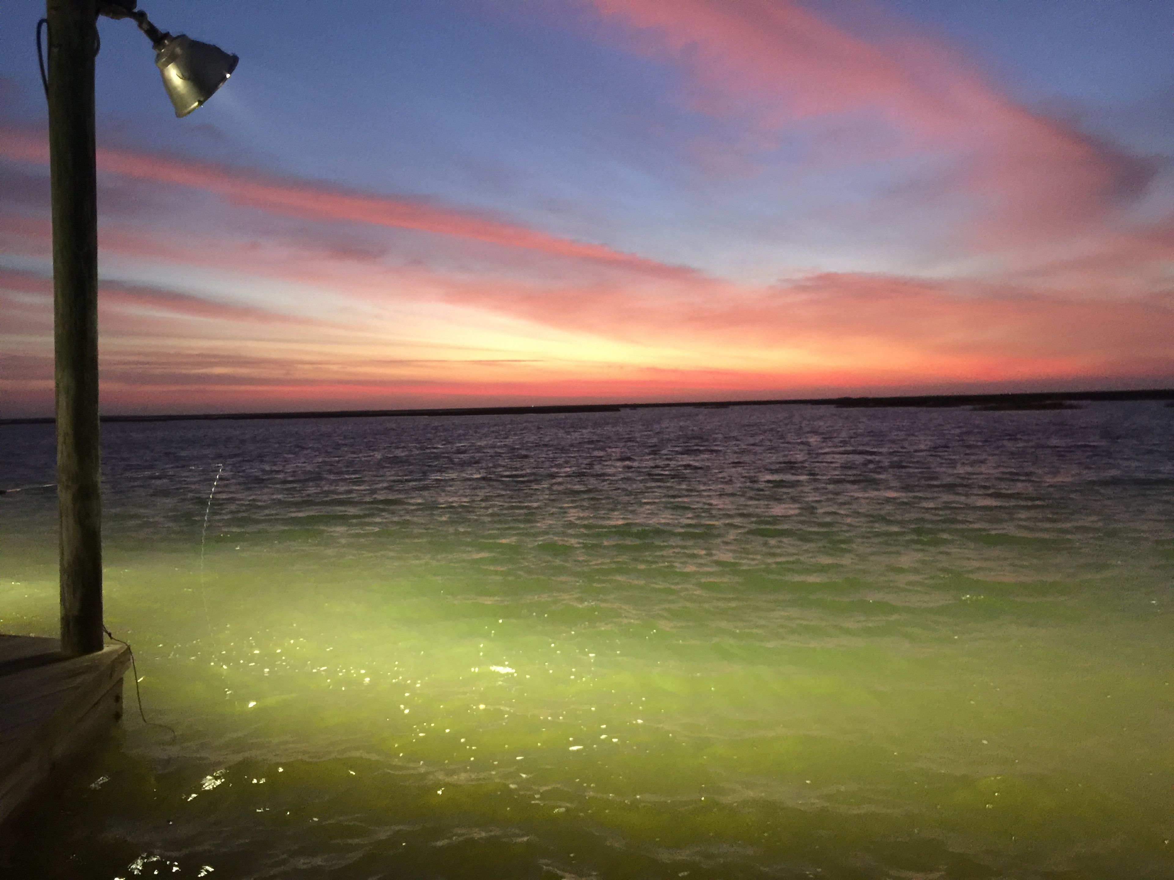 Fishing Spotlights