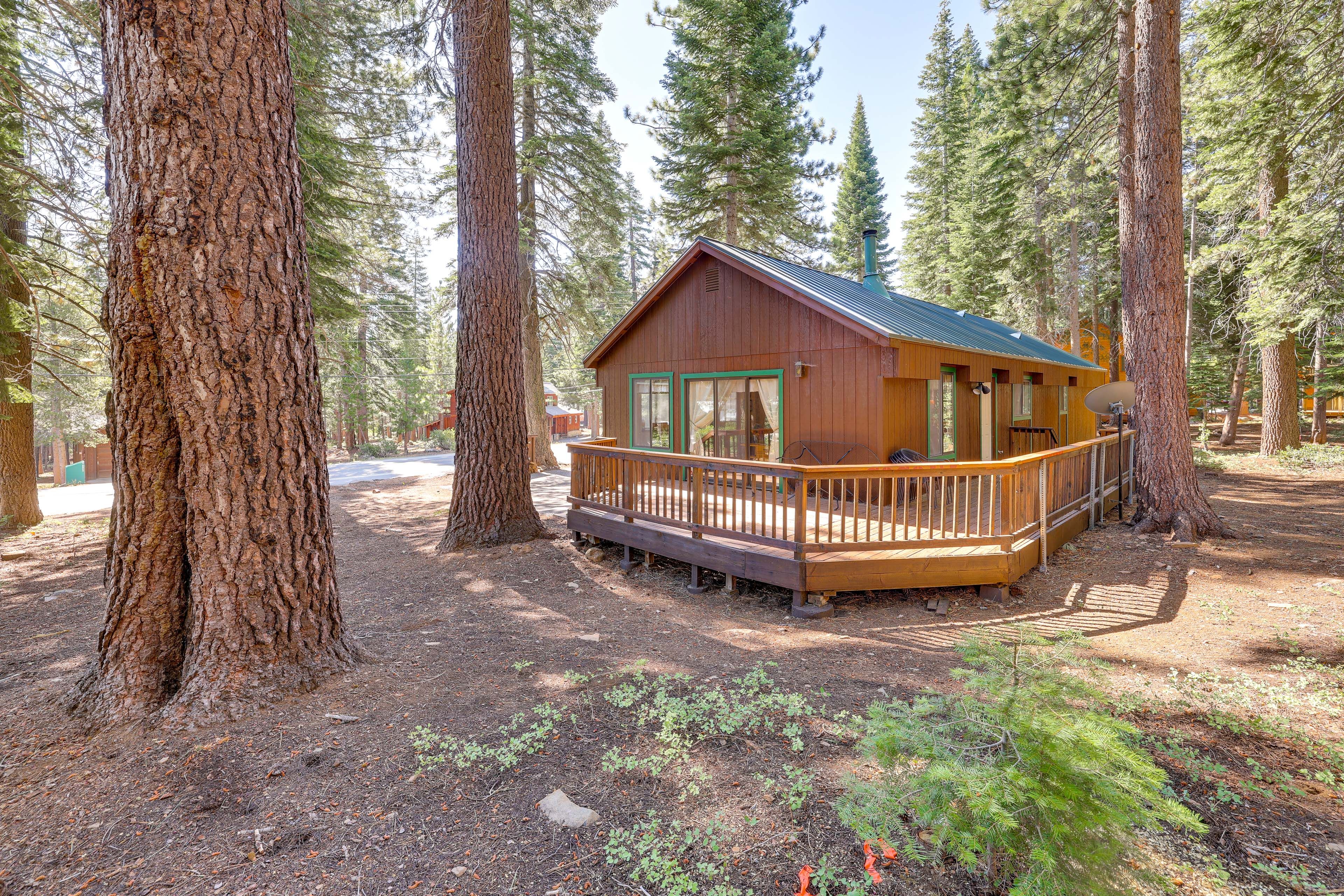 Cabin Exterior