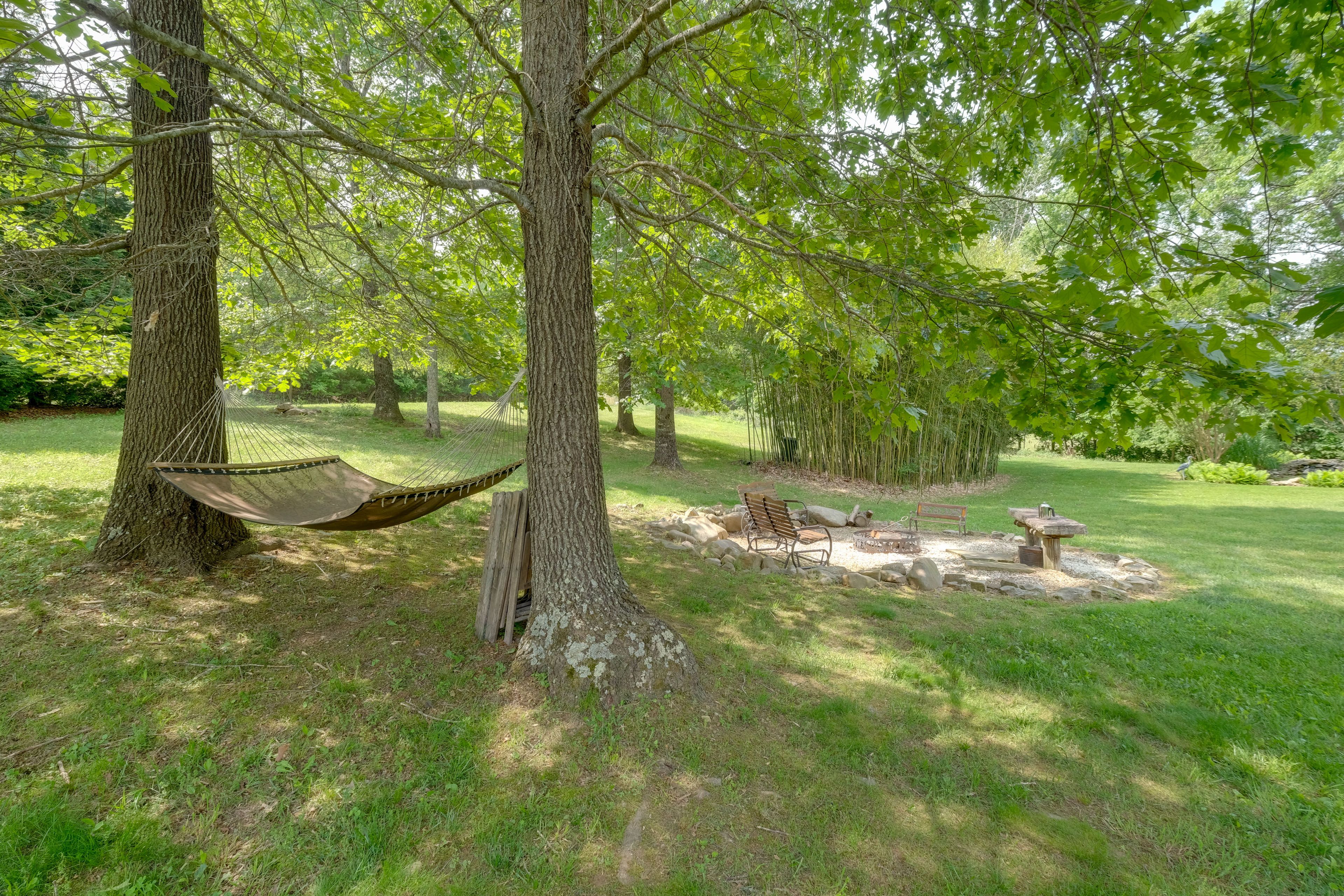 Backyard | Fire Pit | Hammock