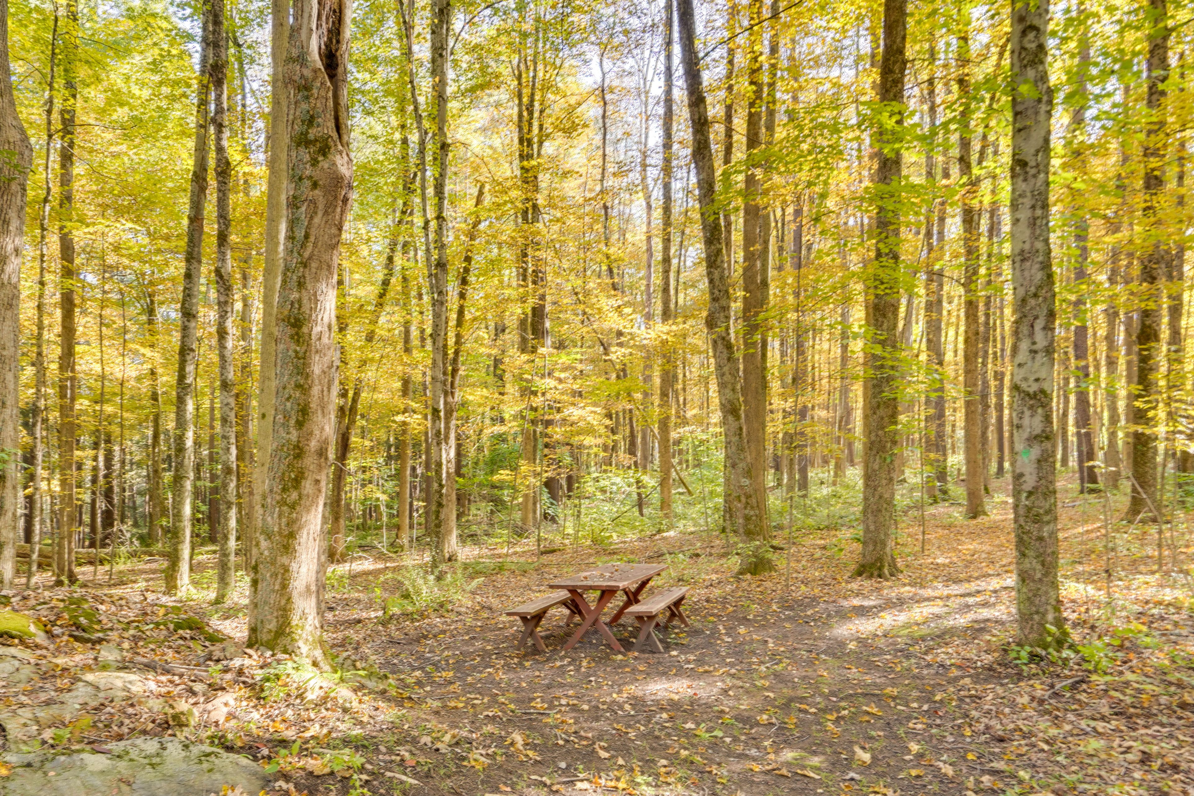 Picnic Area