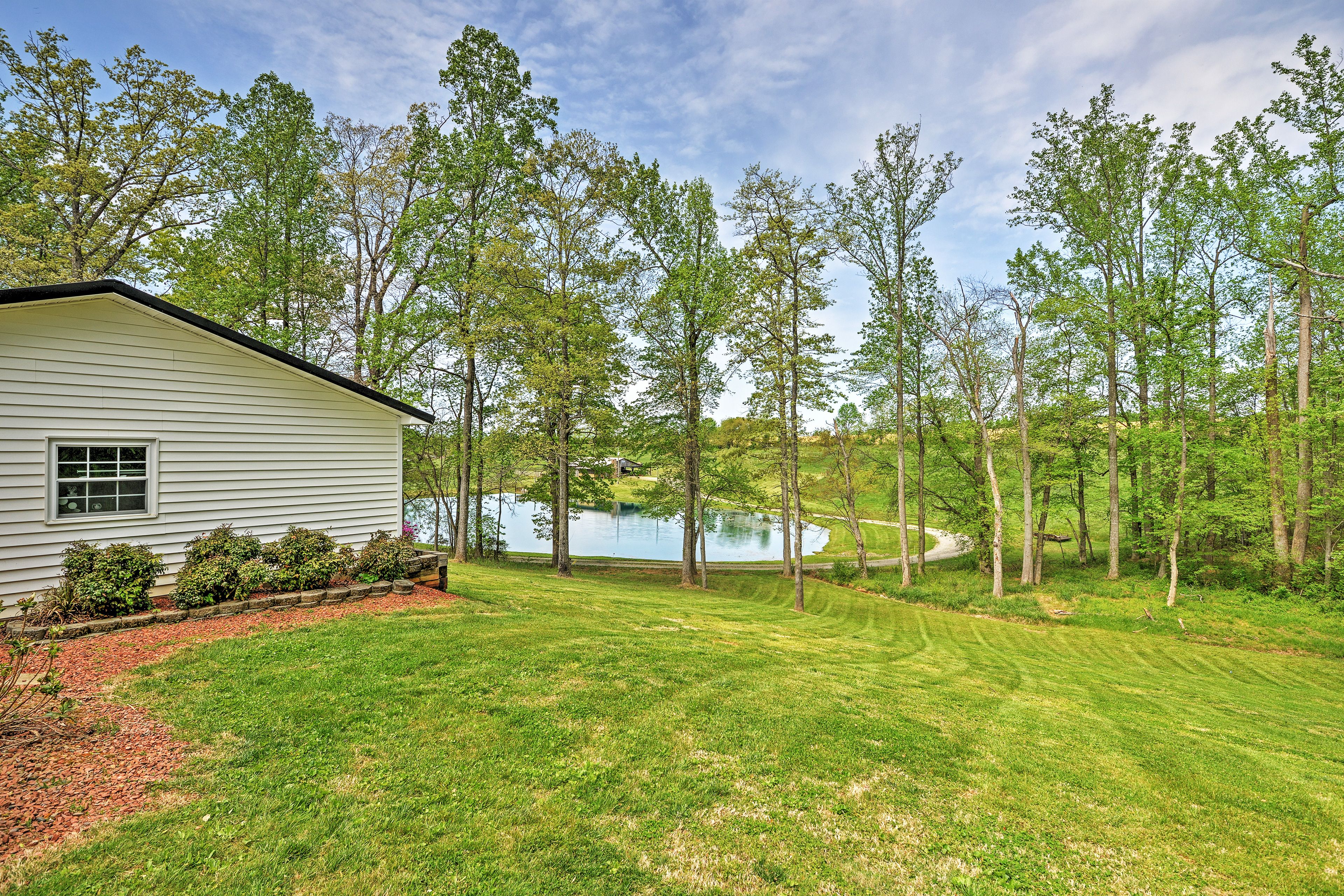 Backyard | 26 Acres of Land