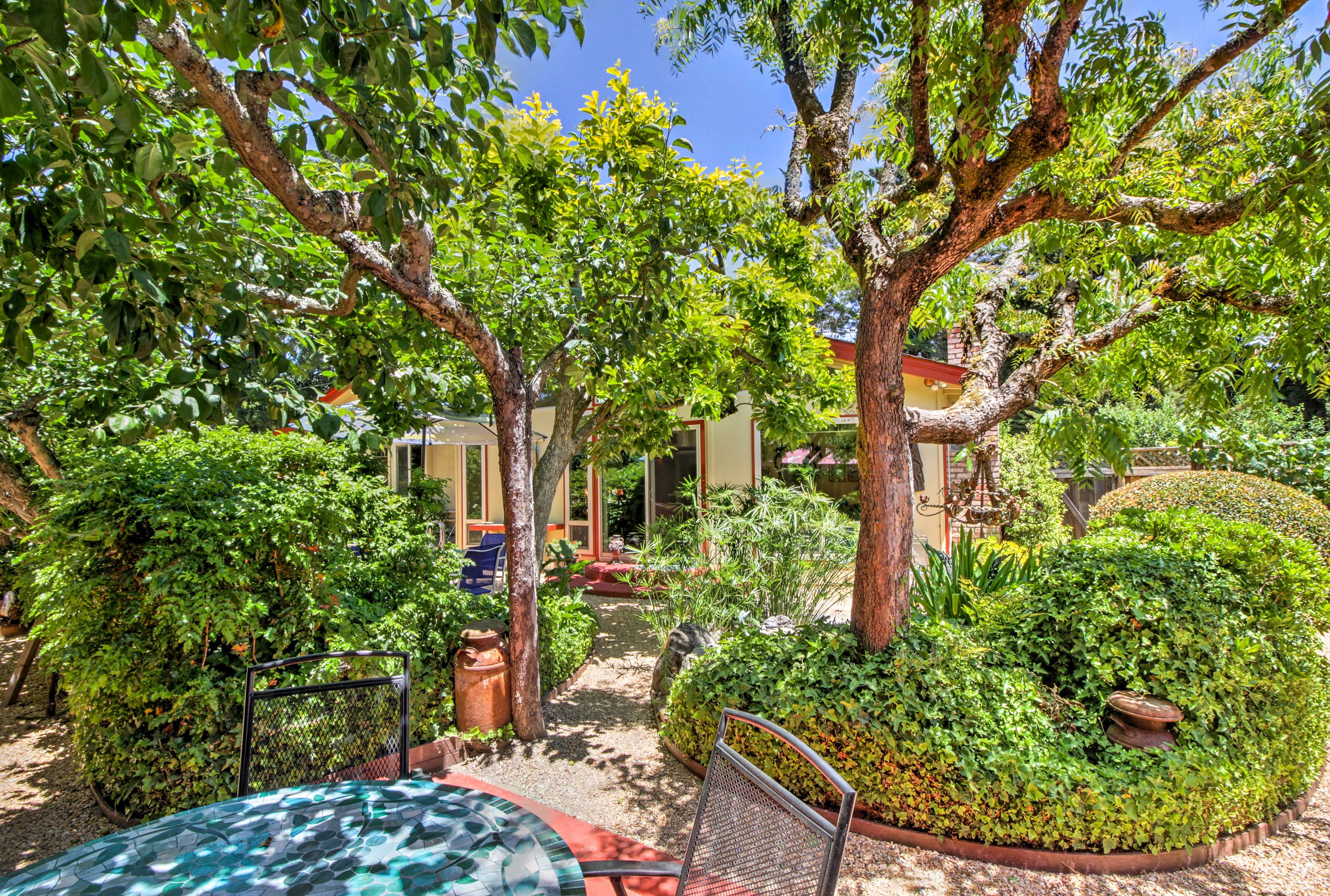 Garden | Multiple Dining Areas