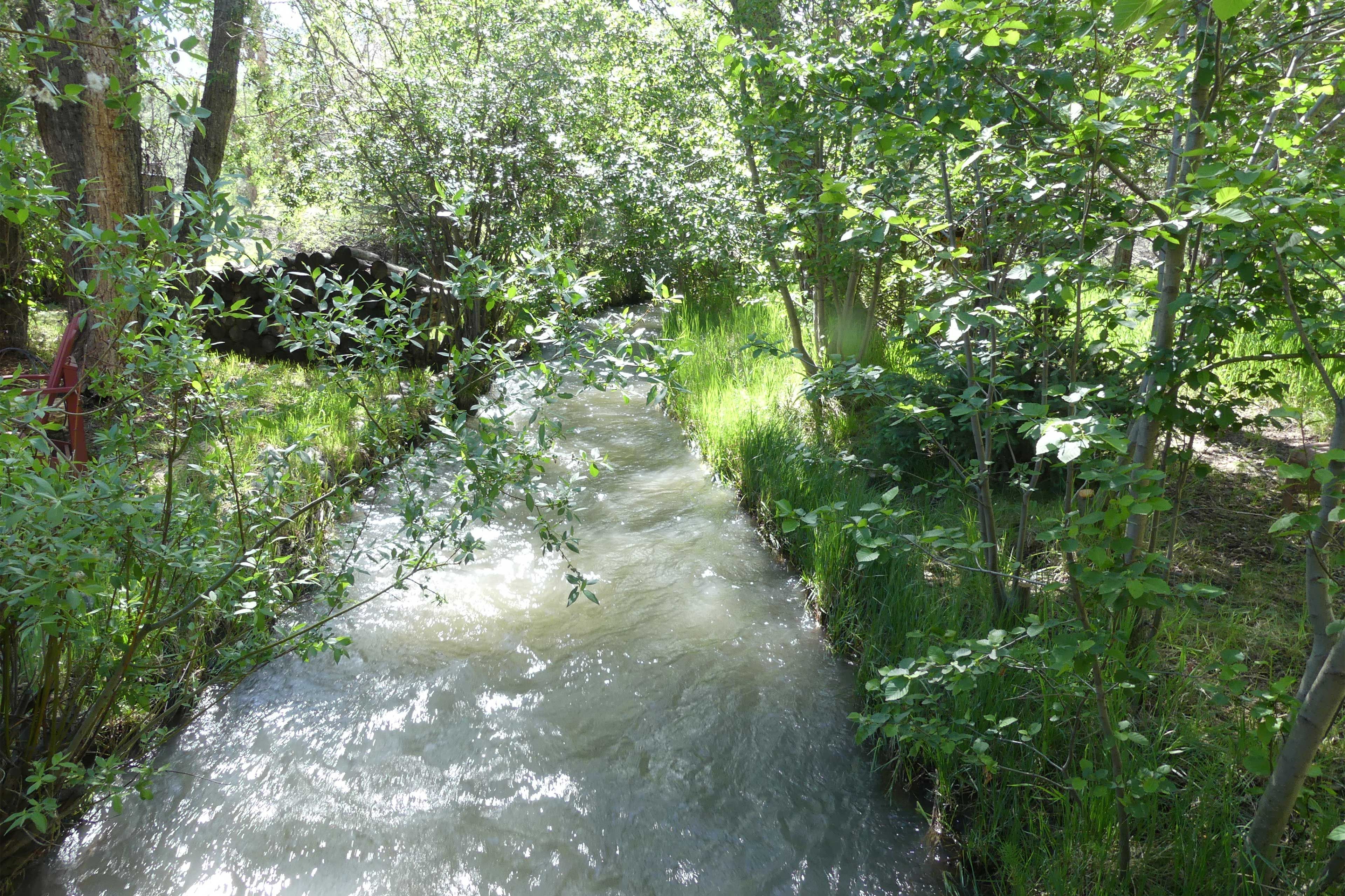 Creek Access