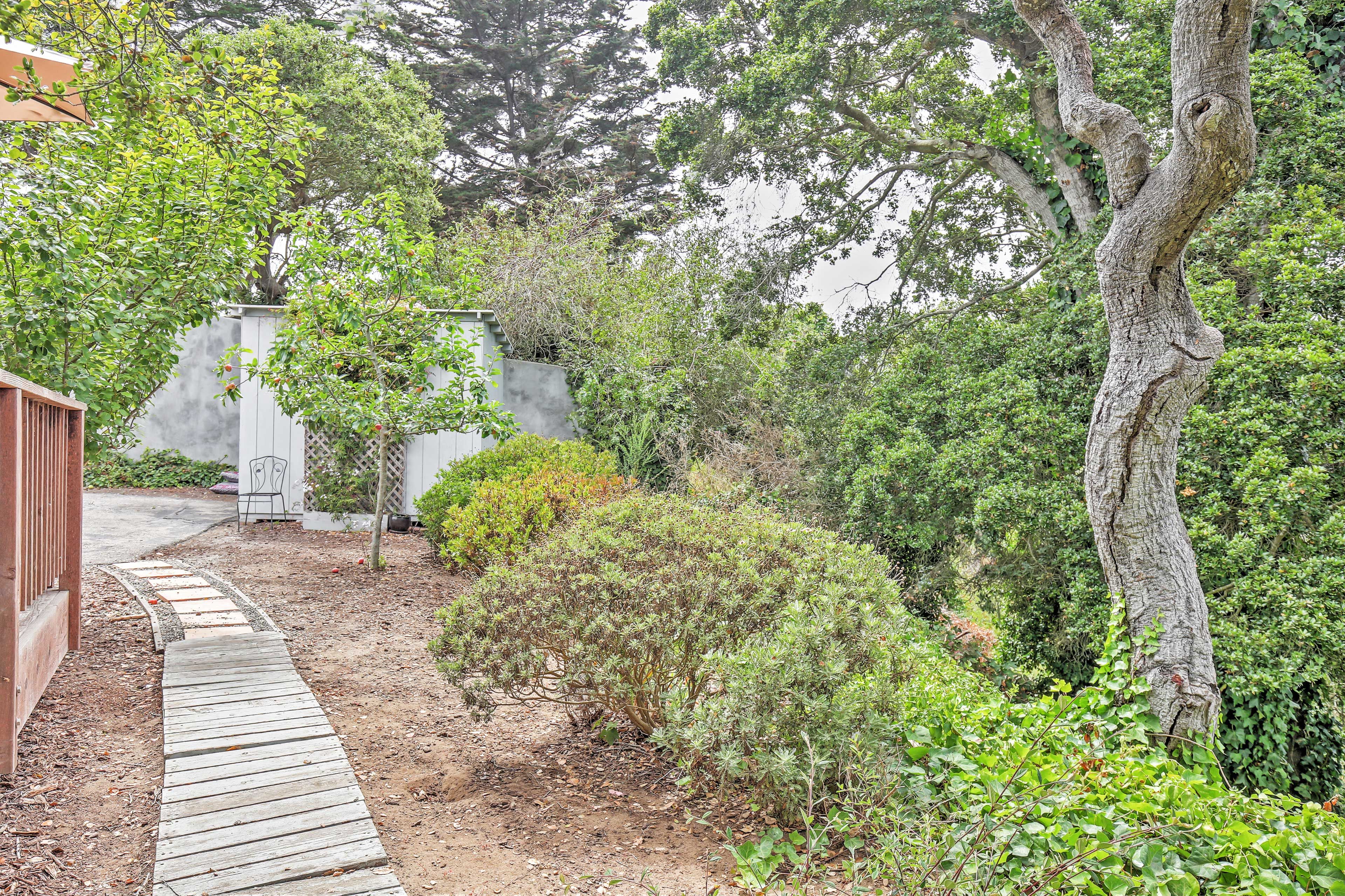 Find your oasis in the quiet backyard area.