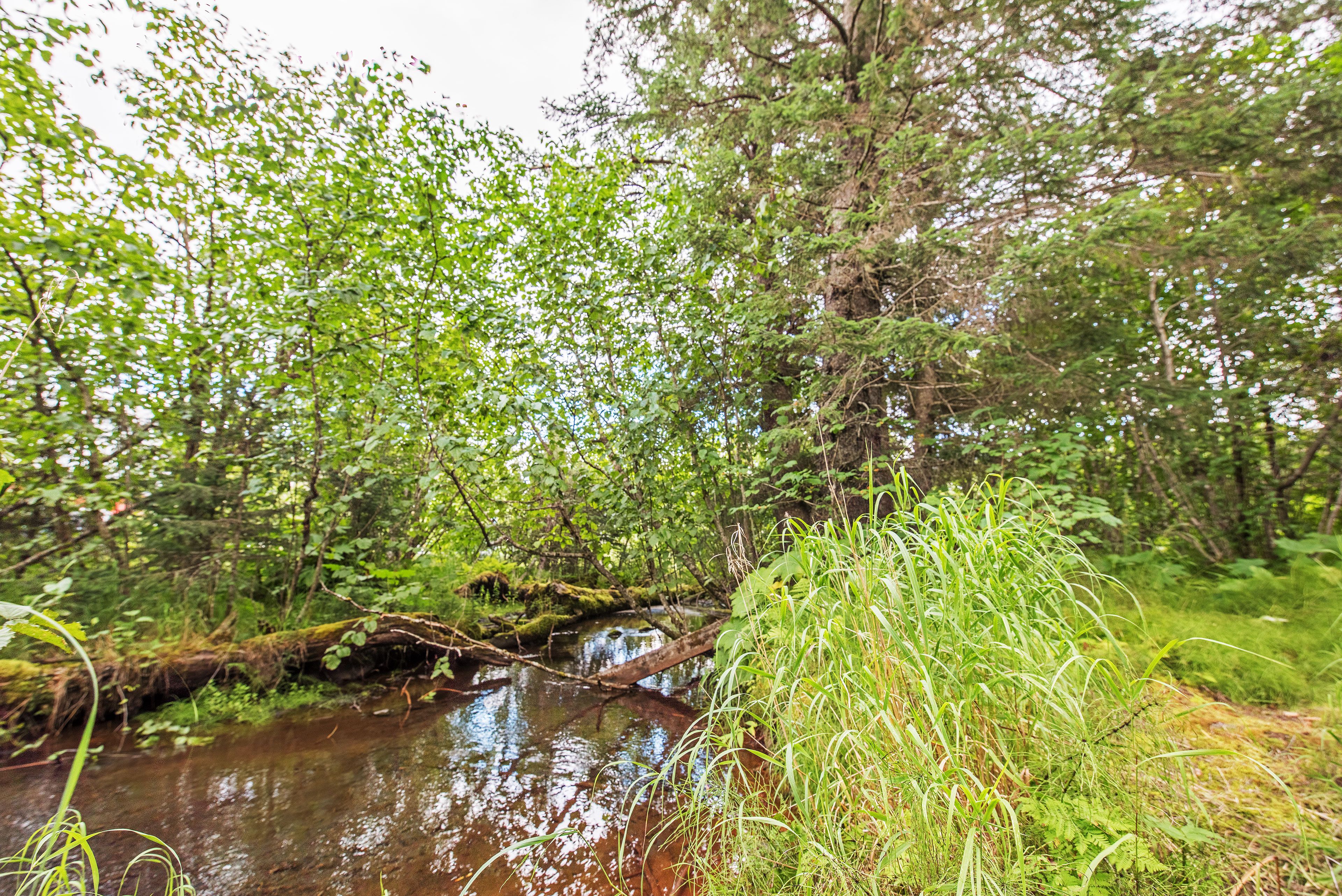 Nearby Attraction | Clear Creek