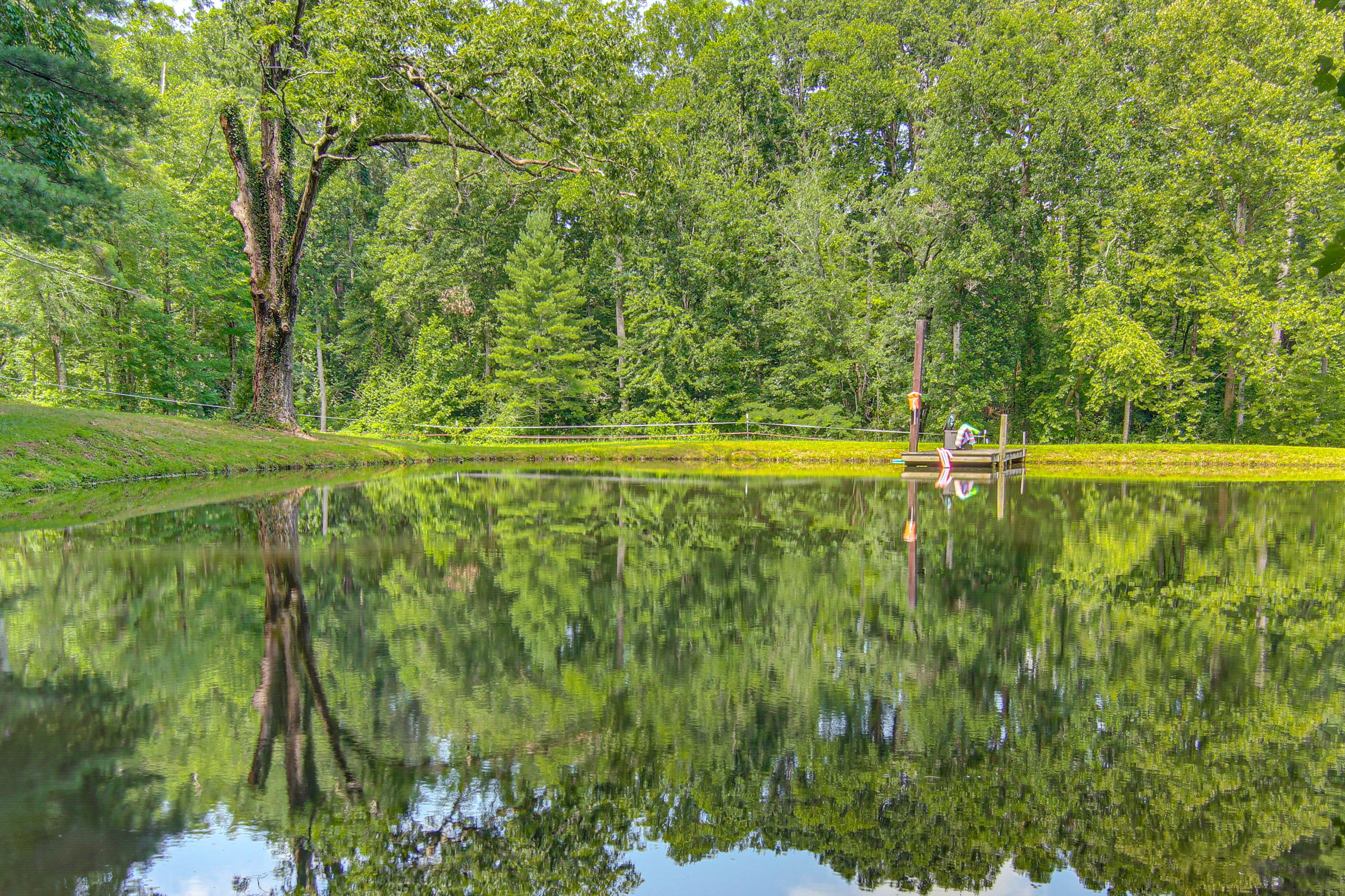 Swimming Pond