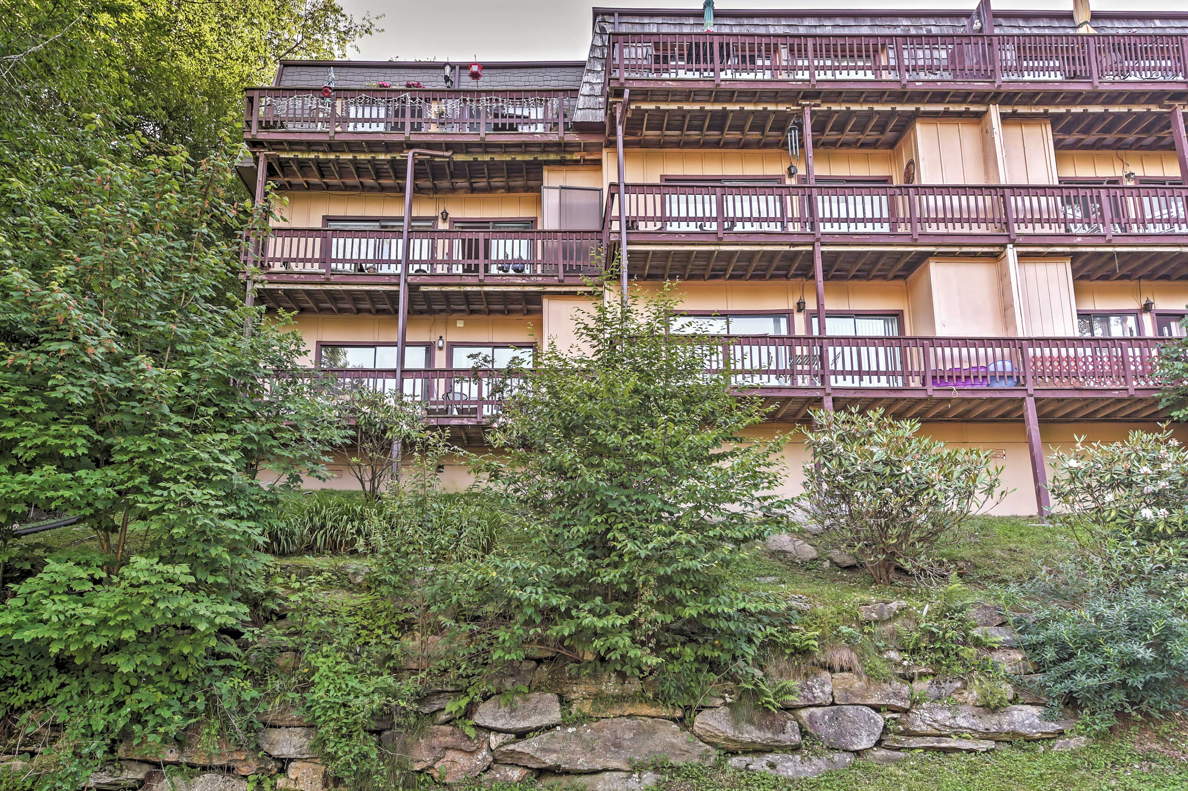 This complex is surrounded by fantastic forest greenery.