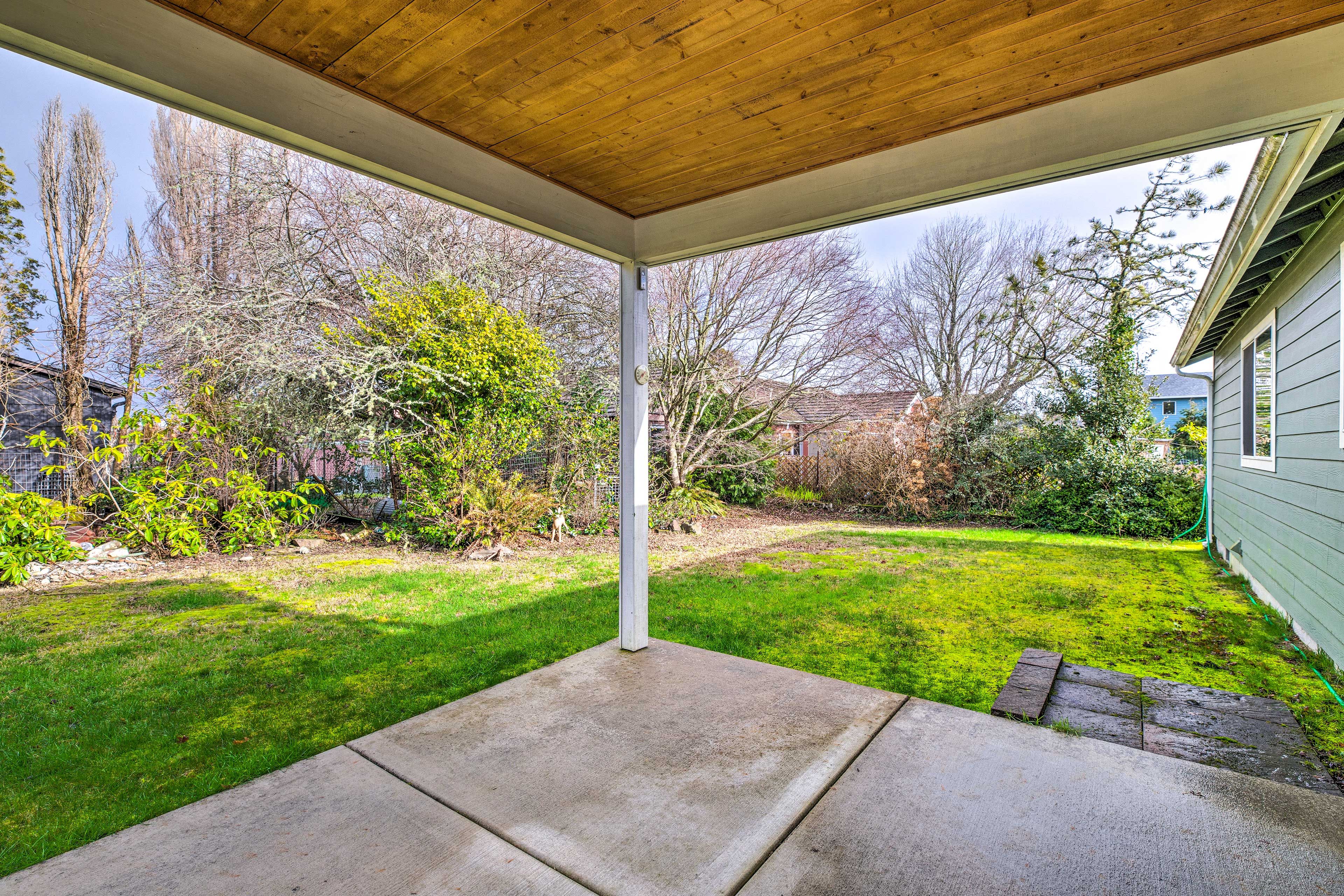 Backyard | Gas Grill