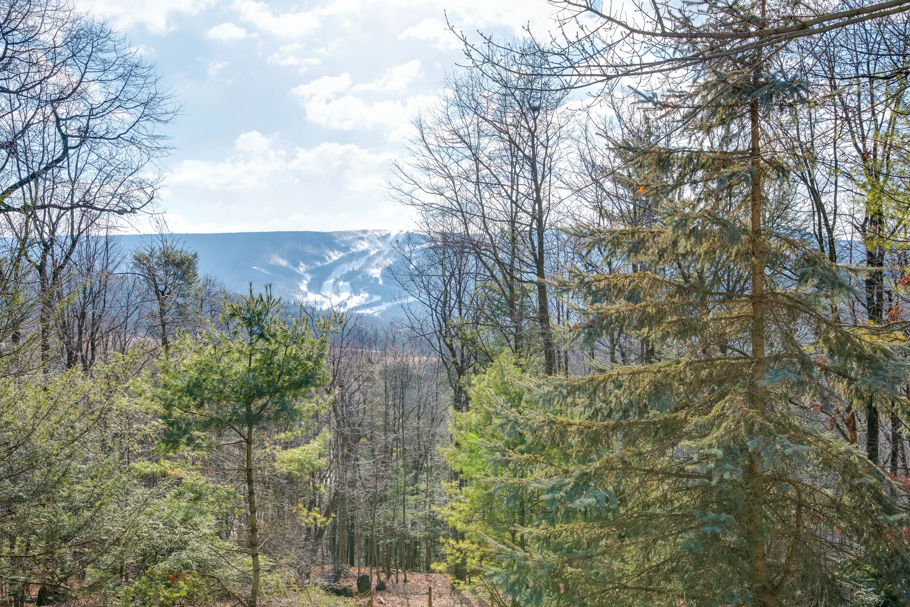 Property Views