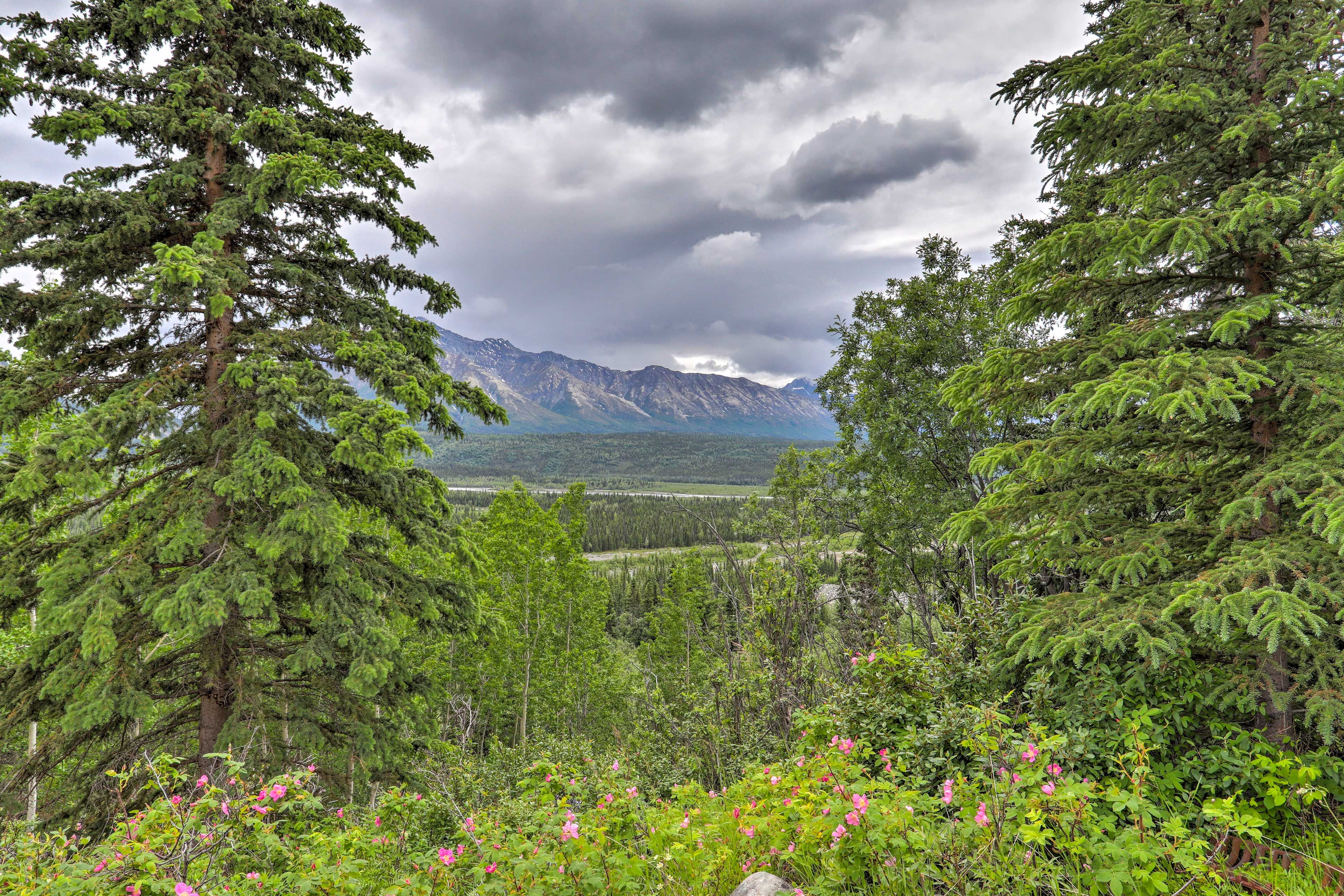 Mountain Views