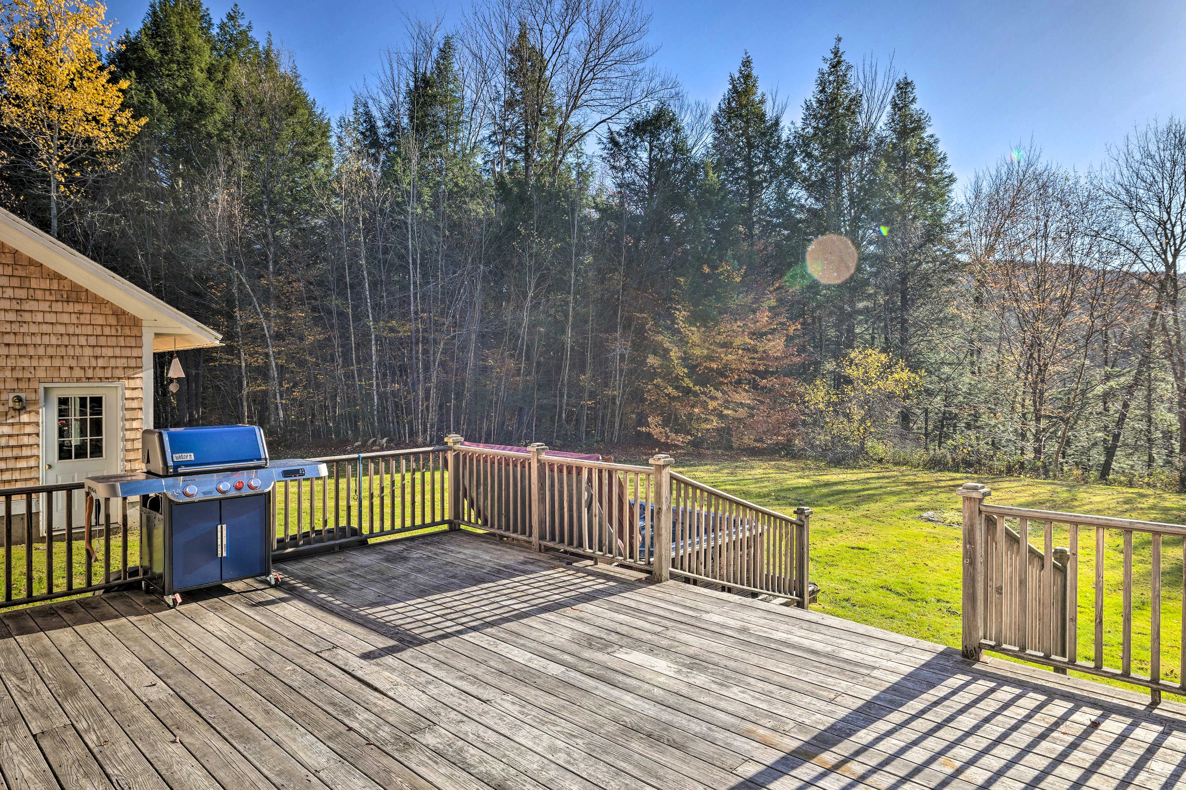 Back Deck | Gas Grill