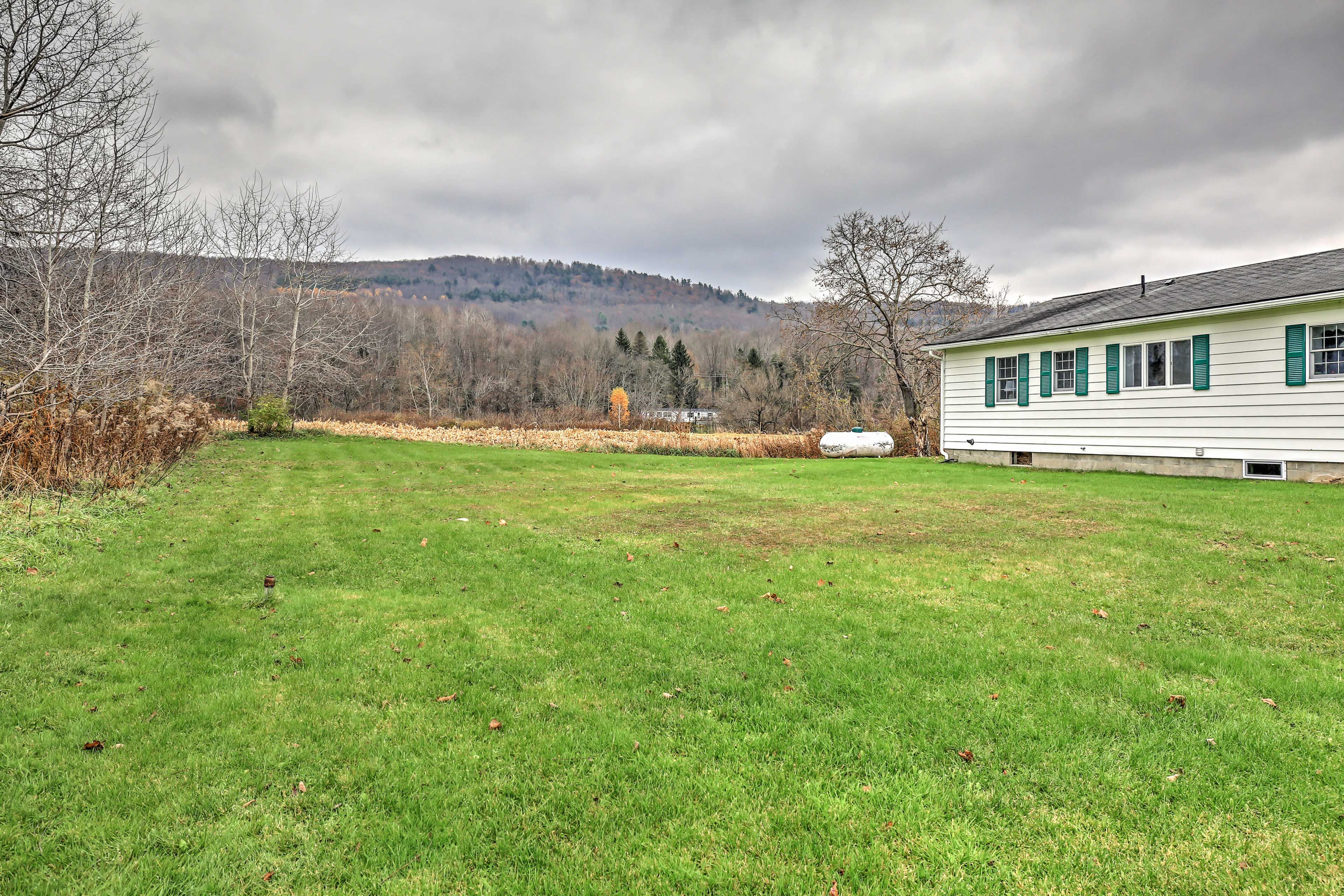 Spacious Yard