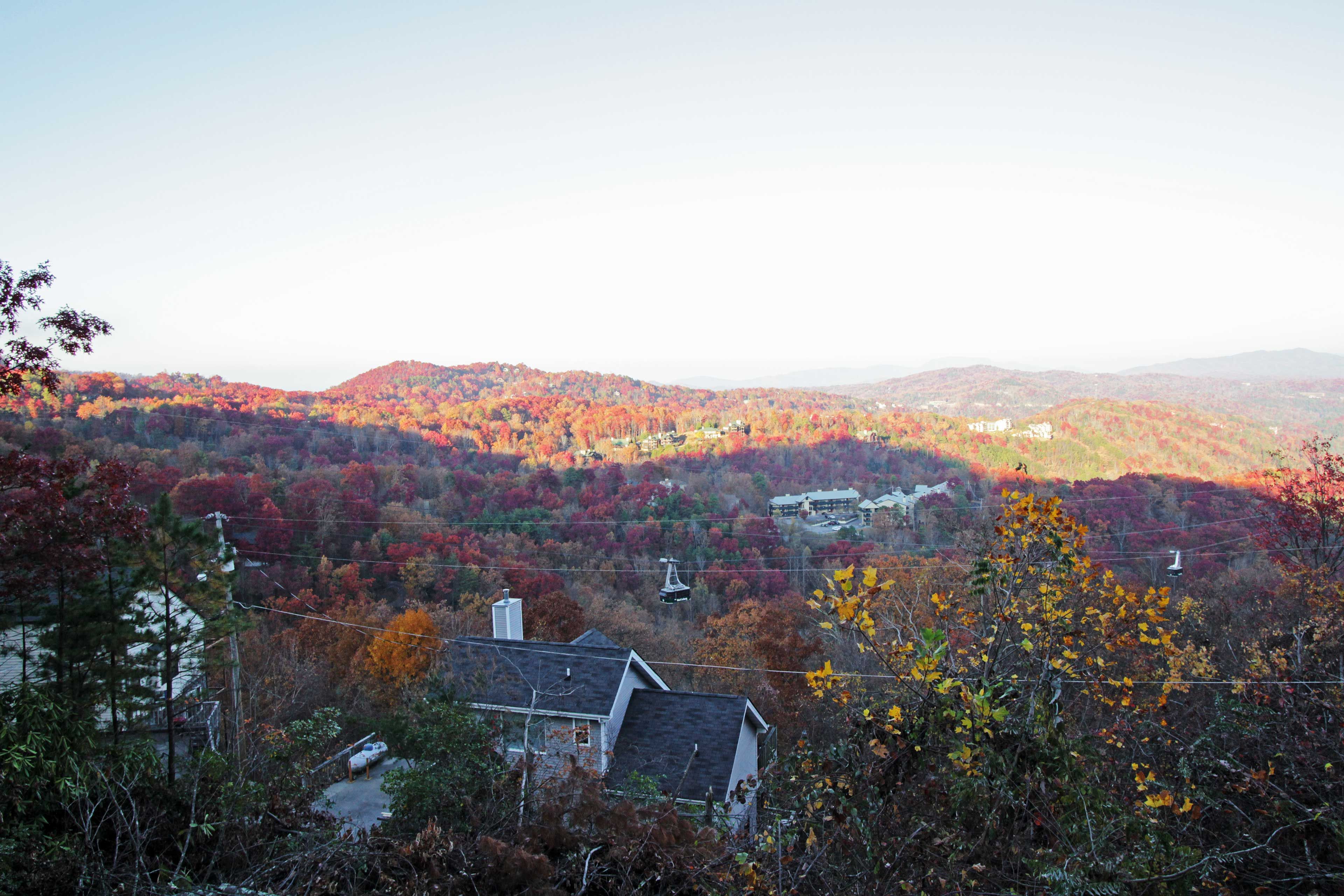Mountain Views
