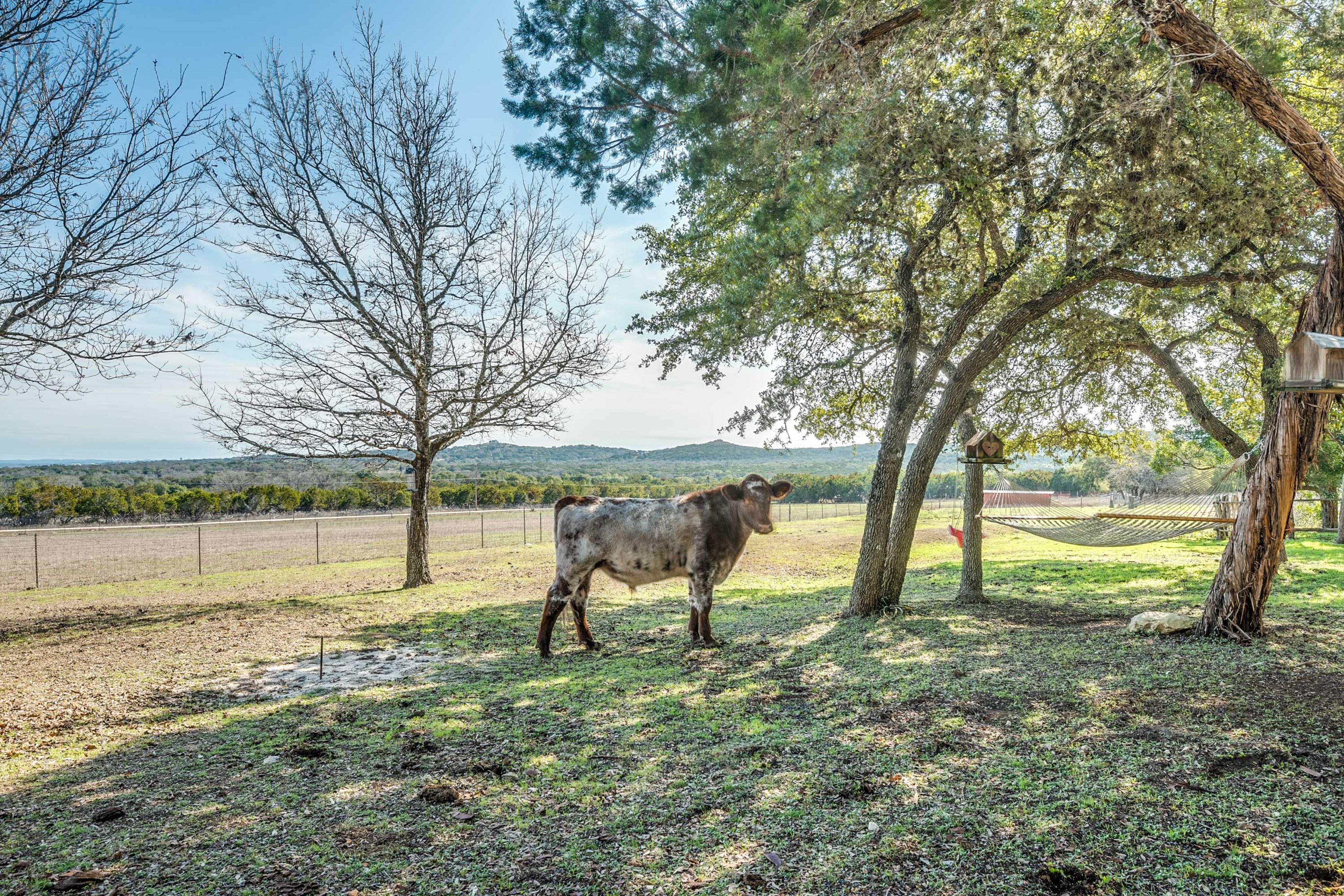 Farm Animals On-Site