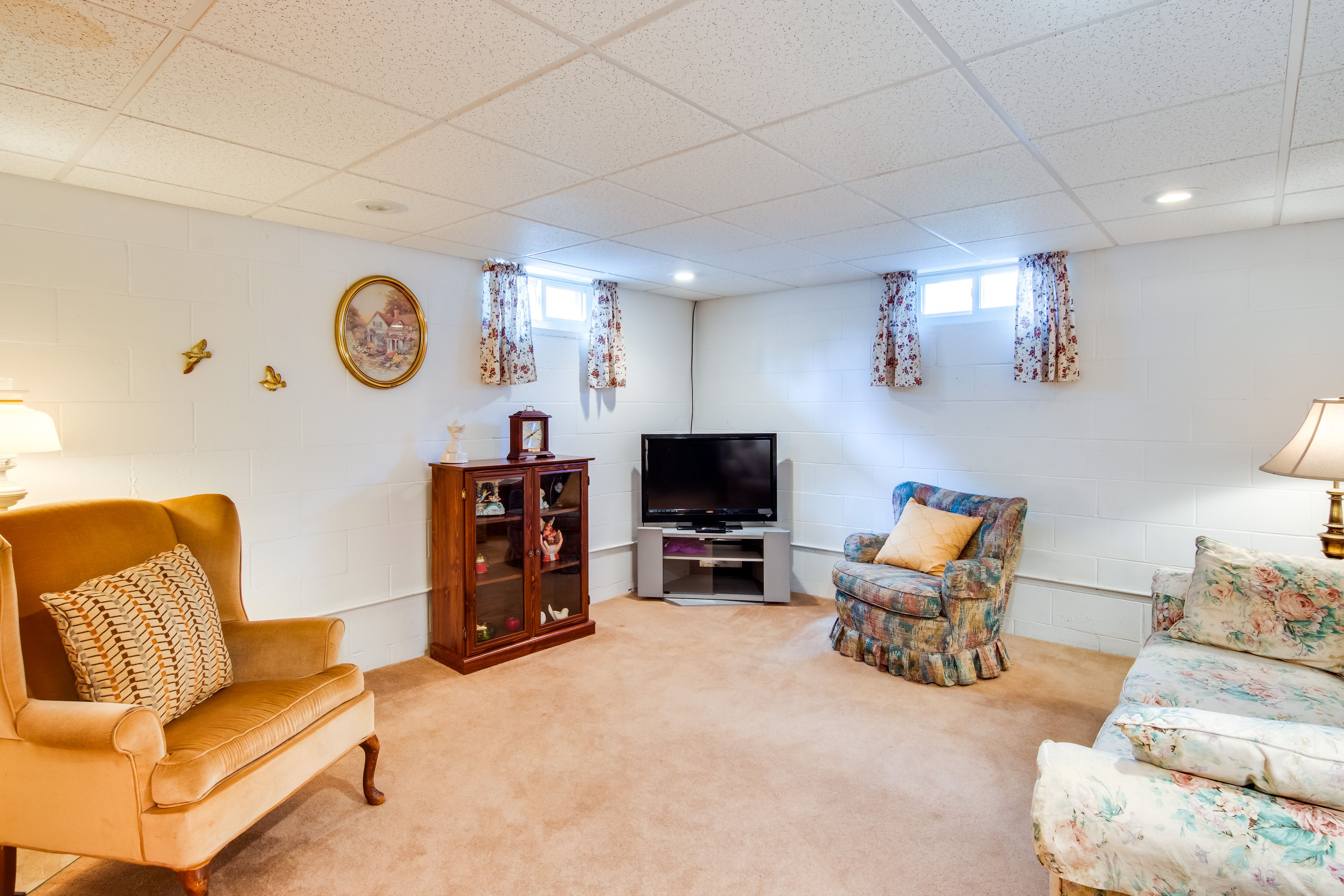Basement Living Room | Cable TV | Twin Daybed w/ Twin Trundle