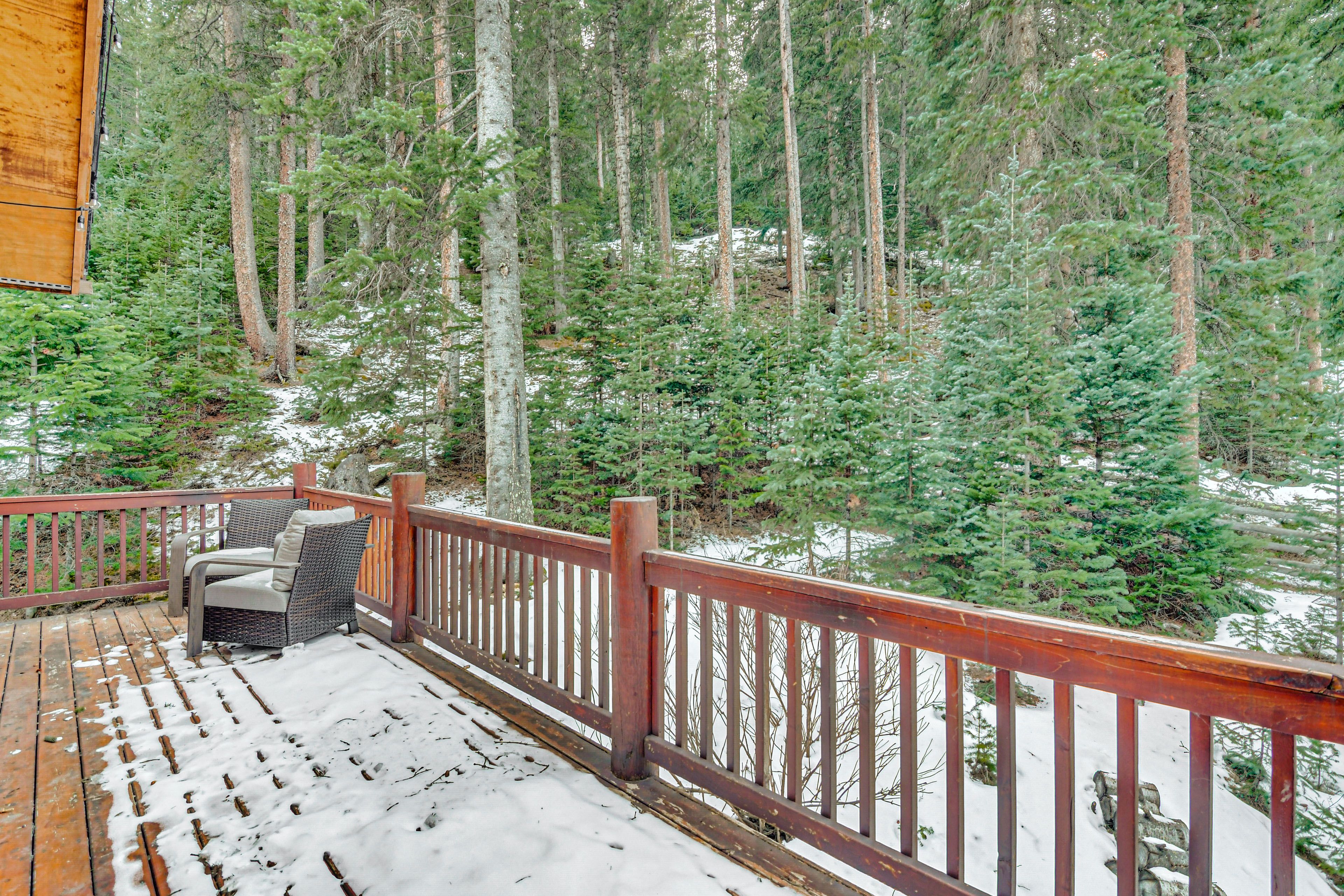 Deck | Backs to National Forest