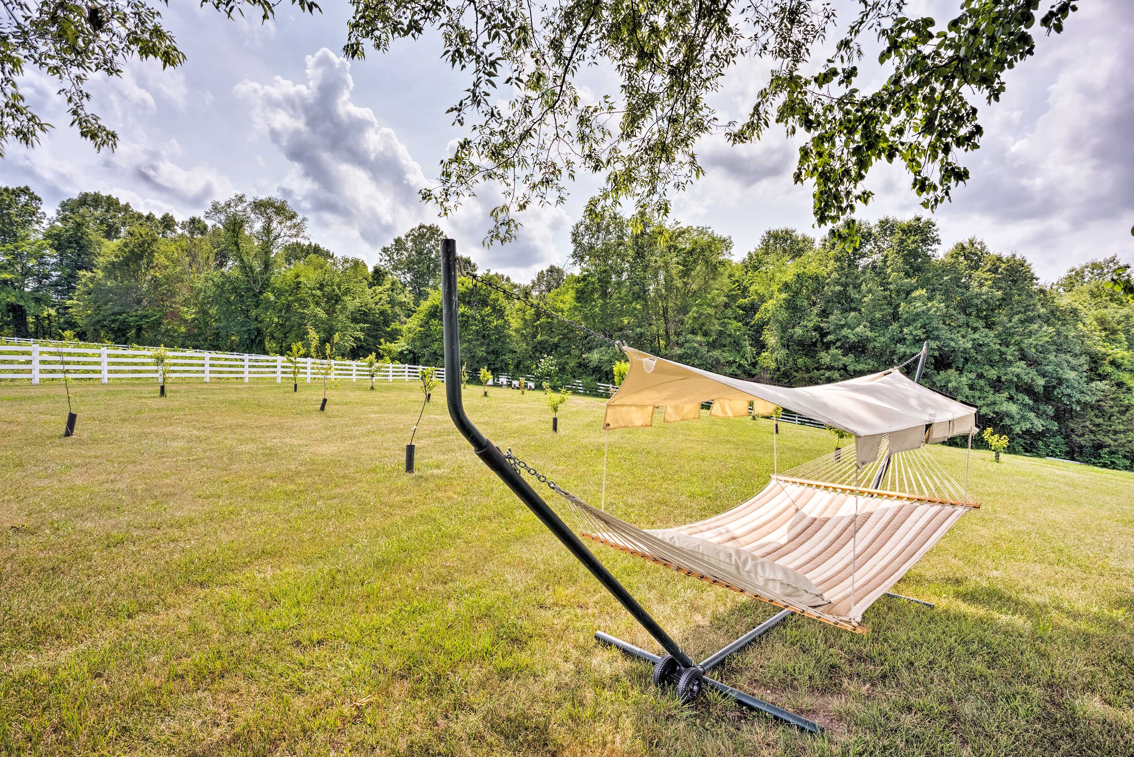 Shared Backyard | Hammock