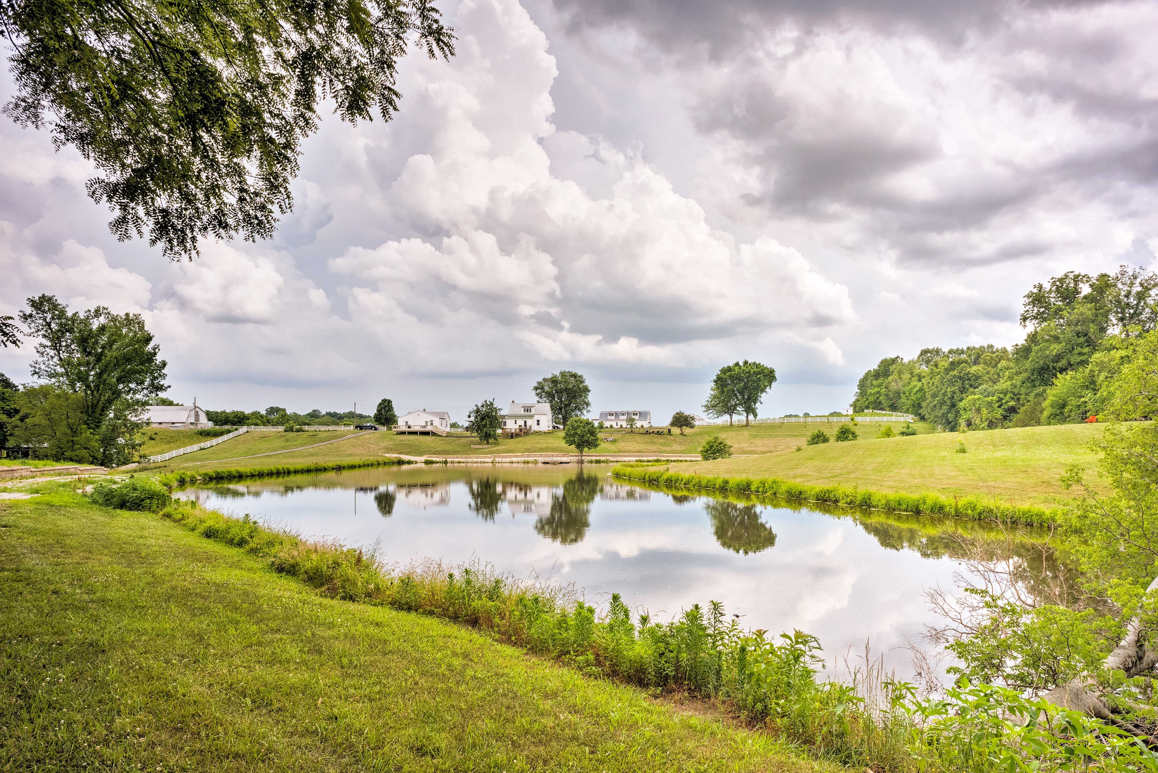 Pond