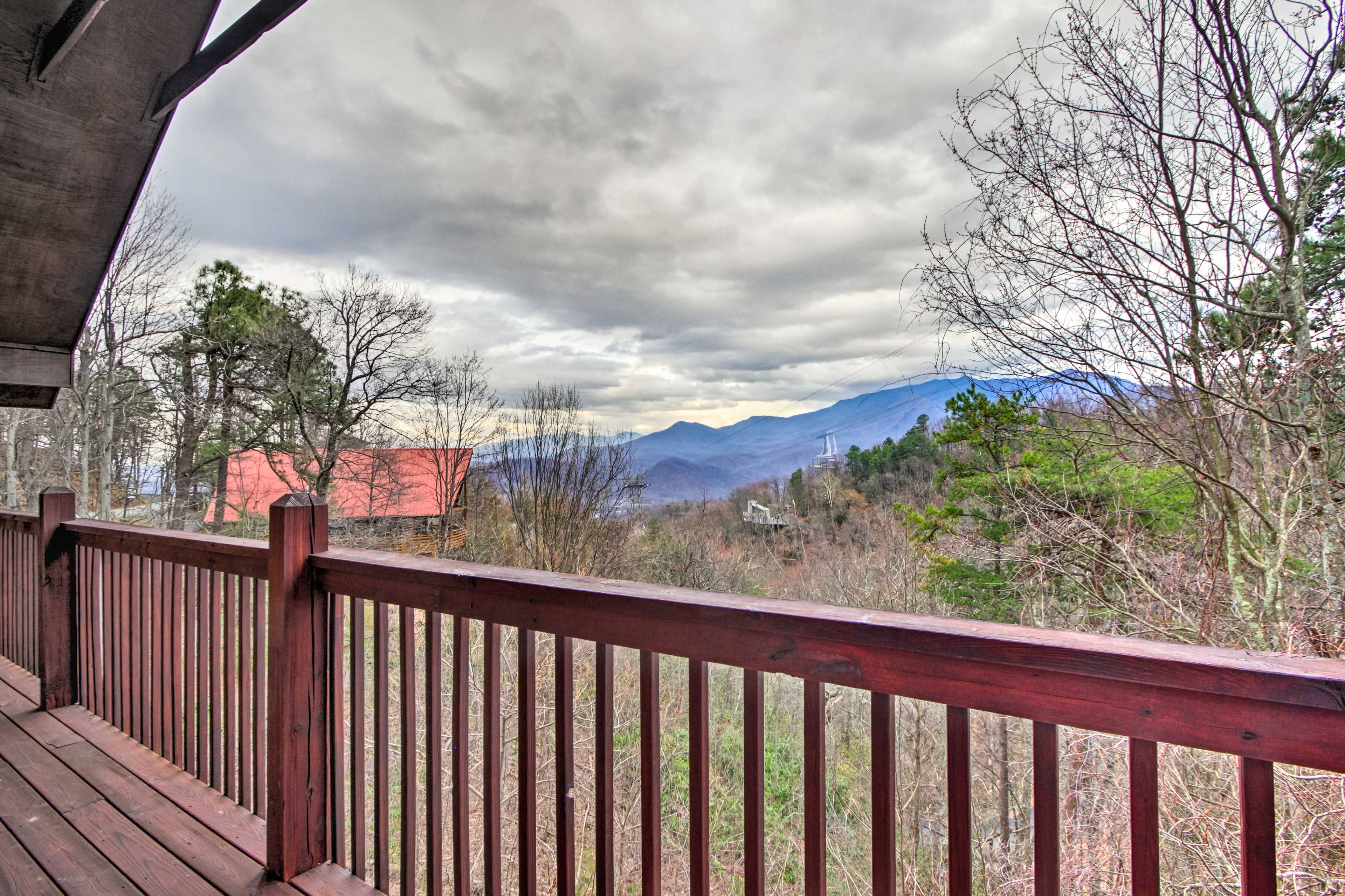 Deck Views